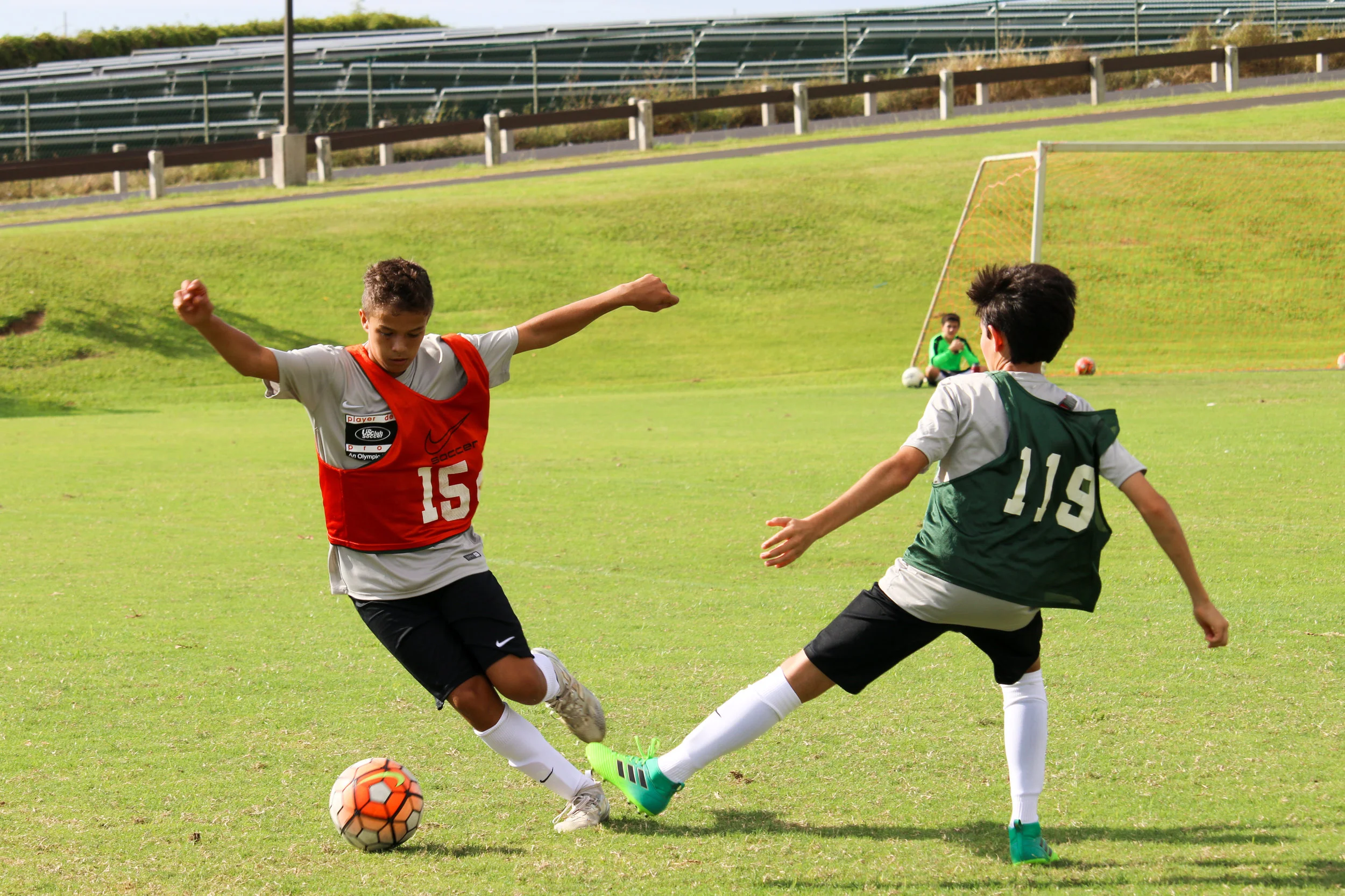 PDPShowcase_2017-17.jpg