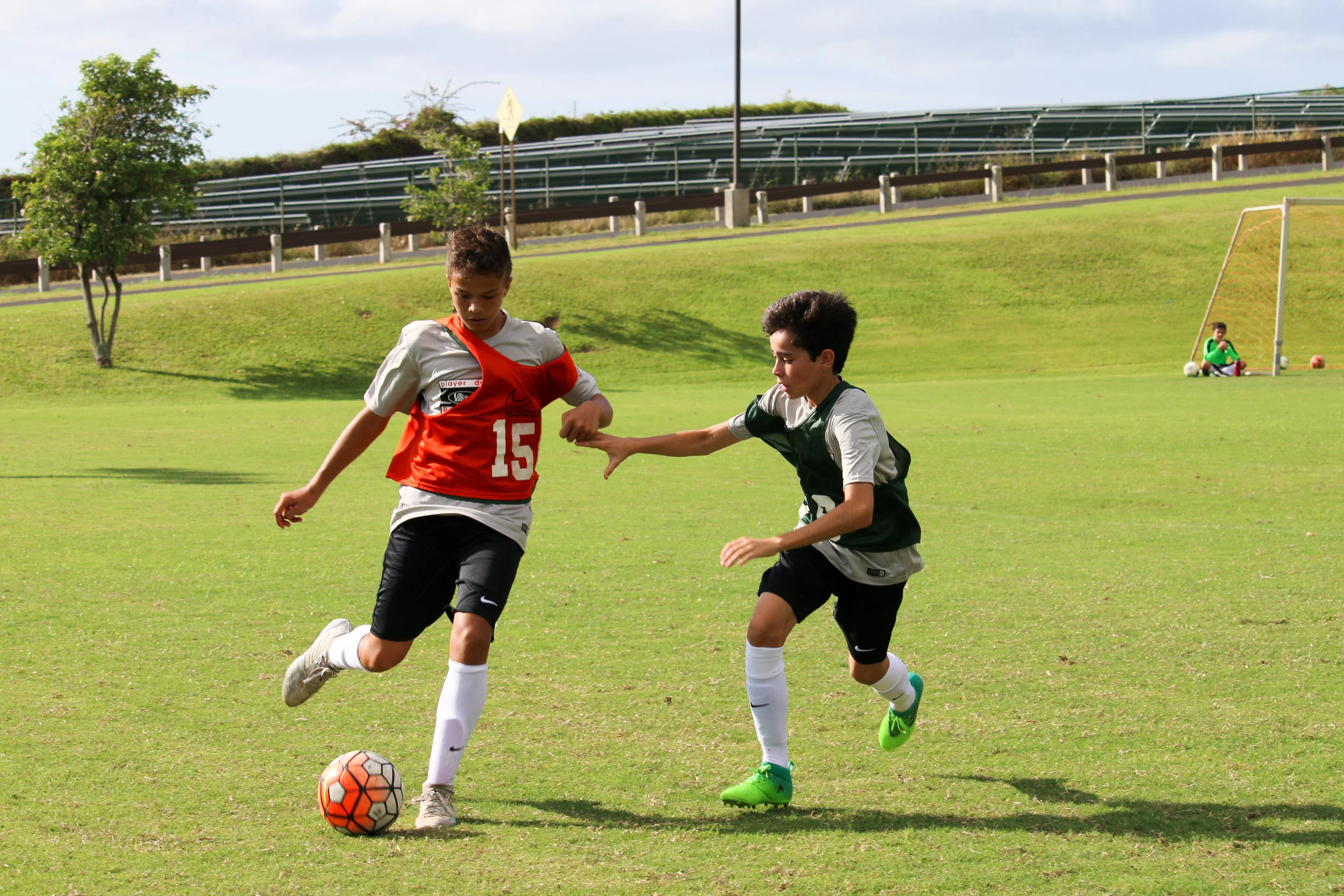 PDPShowcase_2017-18.jpg