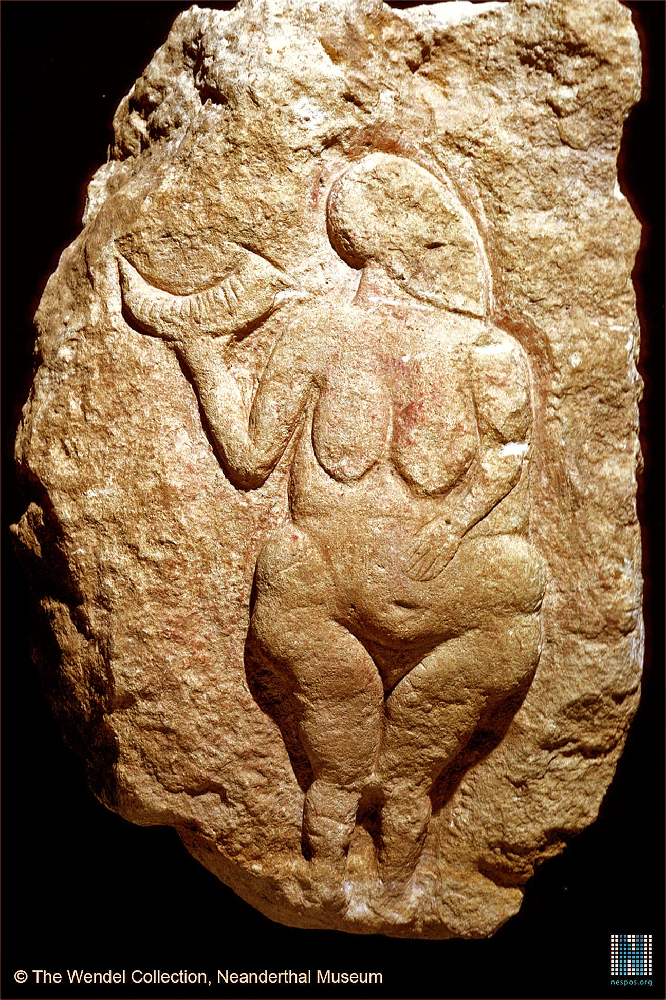 Venus of Laussel, a 25,000-year-old carving found in the Dordogne region of France. This carving is one of hundreds of carvings and figurines of women, most likely goddesses, from the Upper Paleolithic era. 