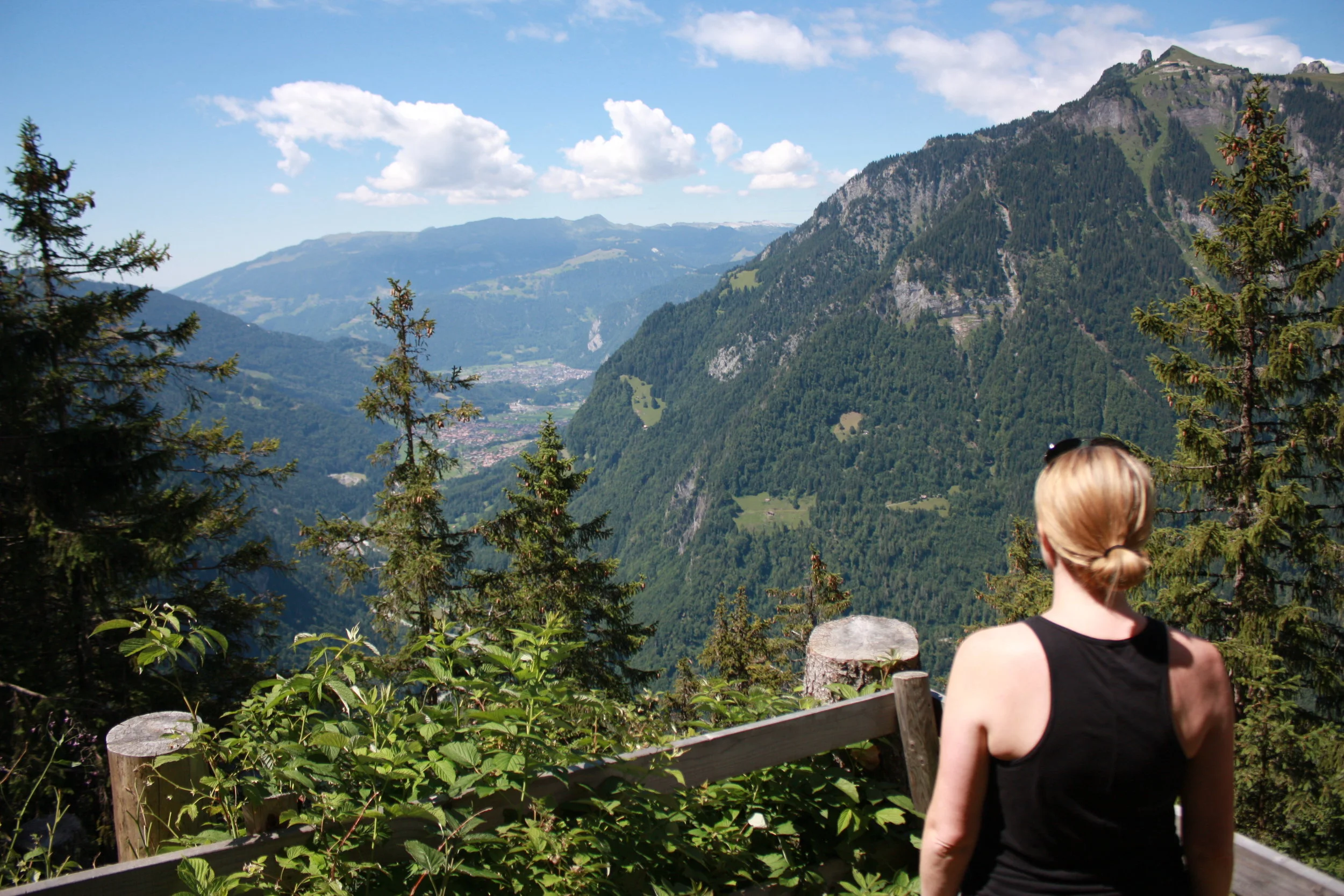 Taking in the views