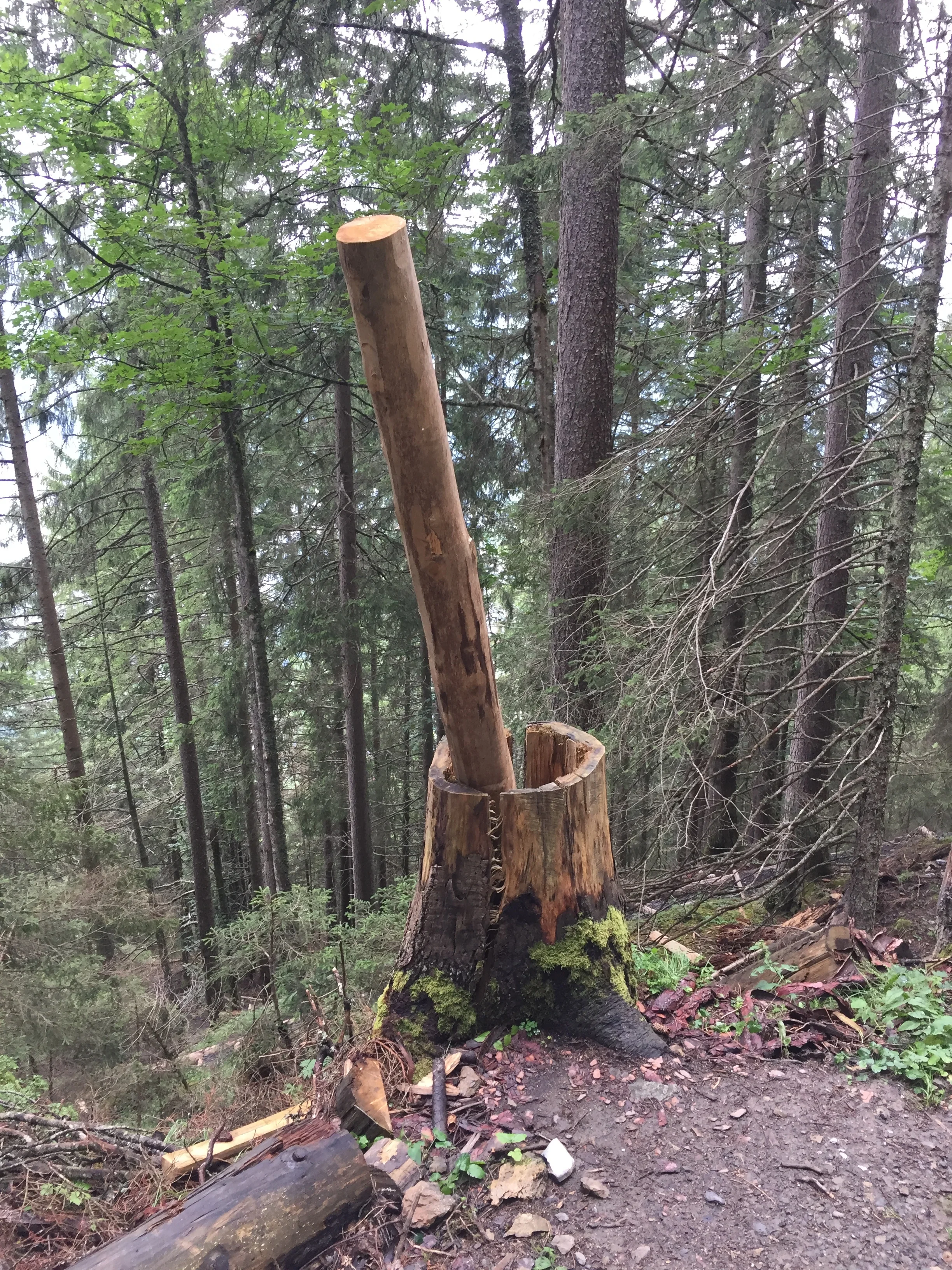 Giant witches' cauldron, perhaps?
