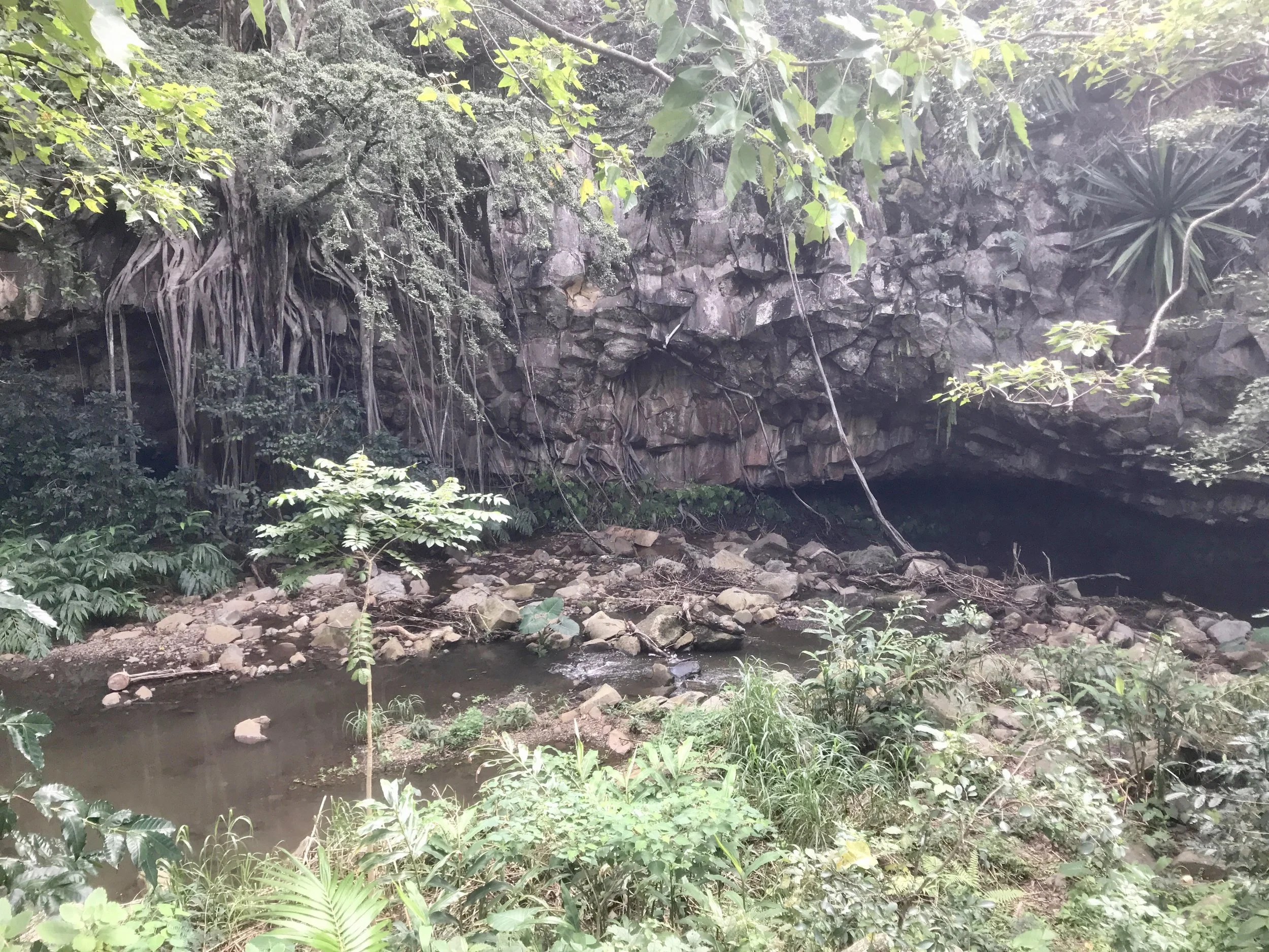 Birthing pools near Makawao, island of Maui