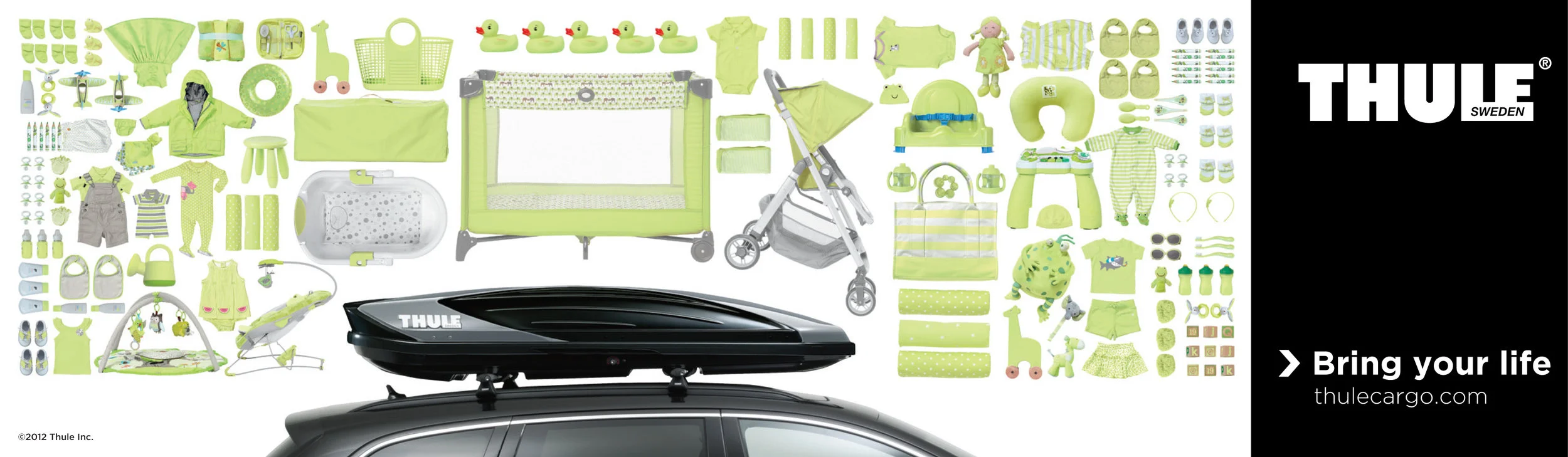 THU-1007_6015_Baby_14x48.jpg
