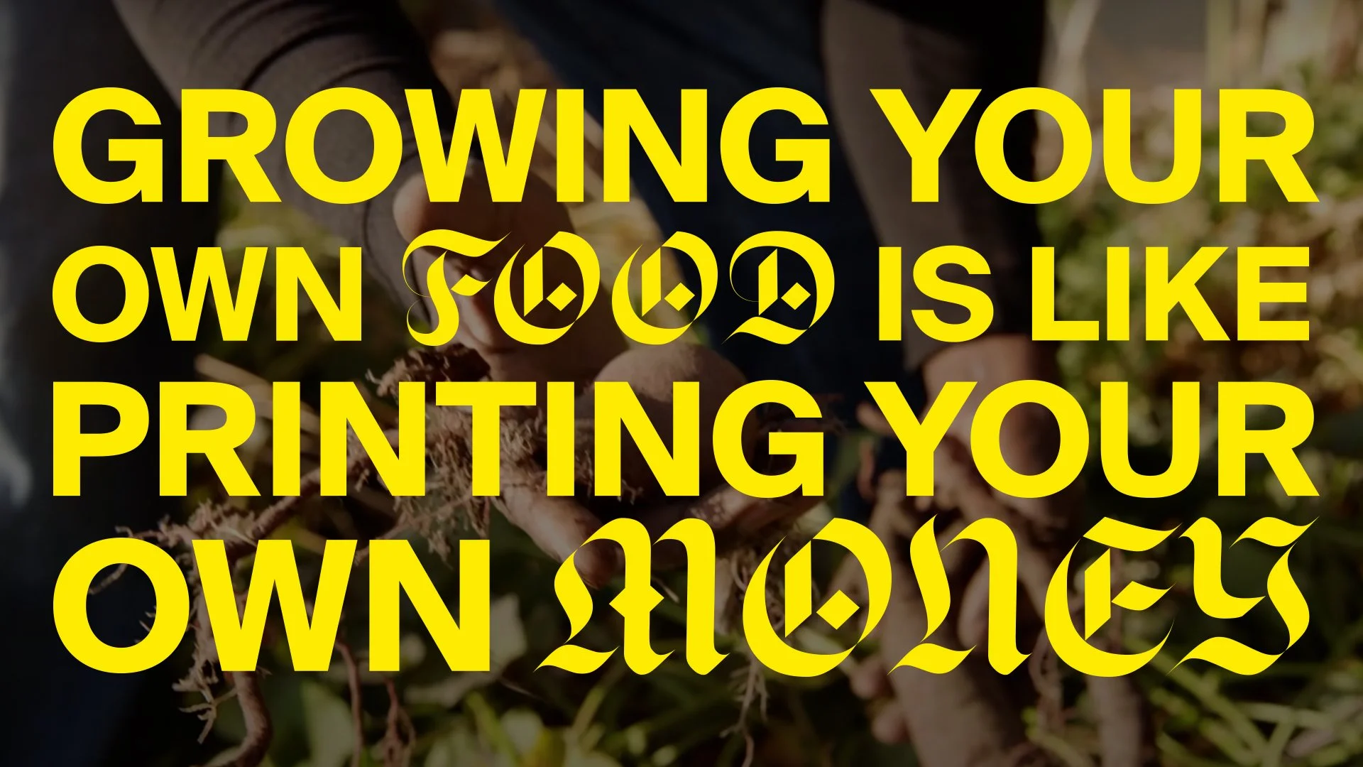 RF_VID_IMG QUOTE6.jpg