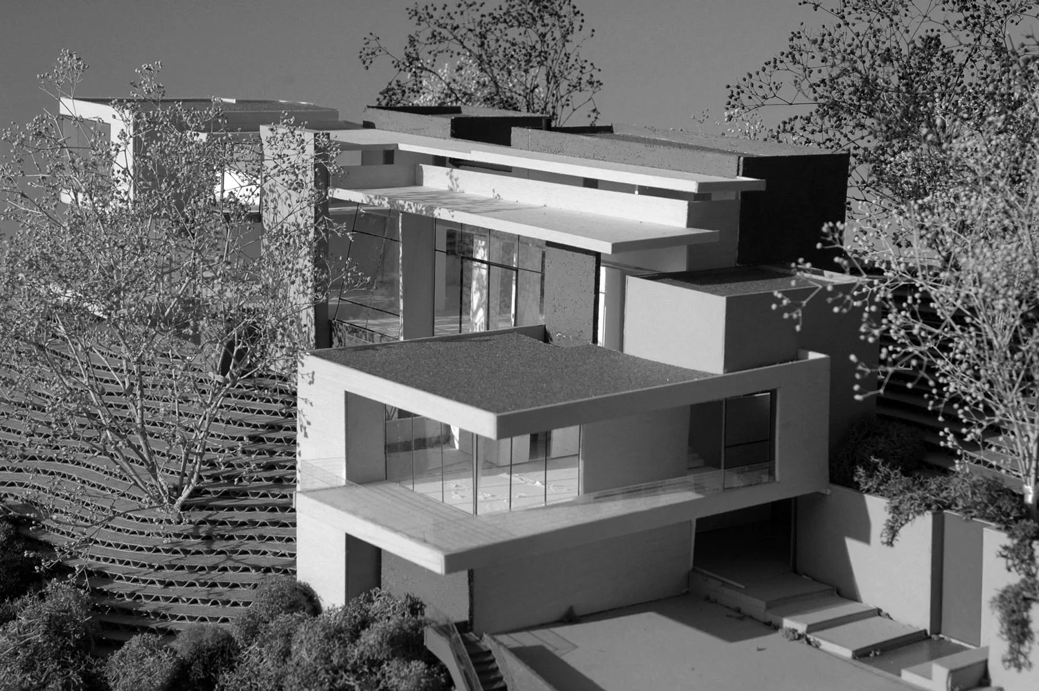 DSC_0381_BW.jpg