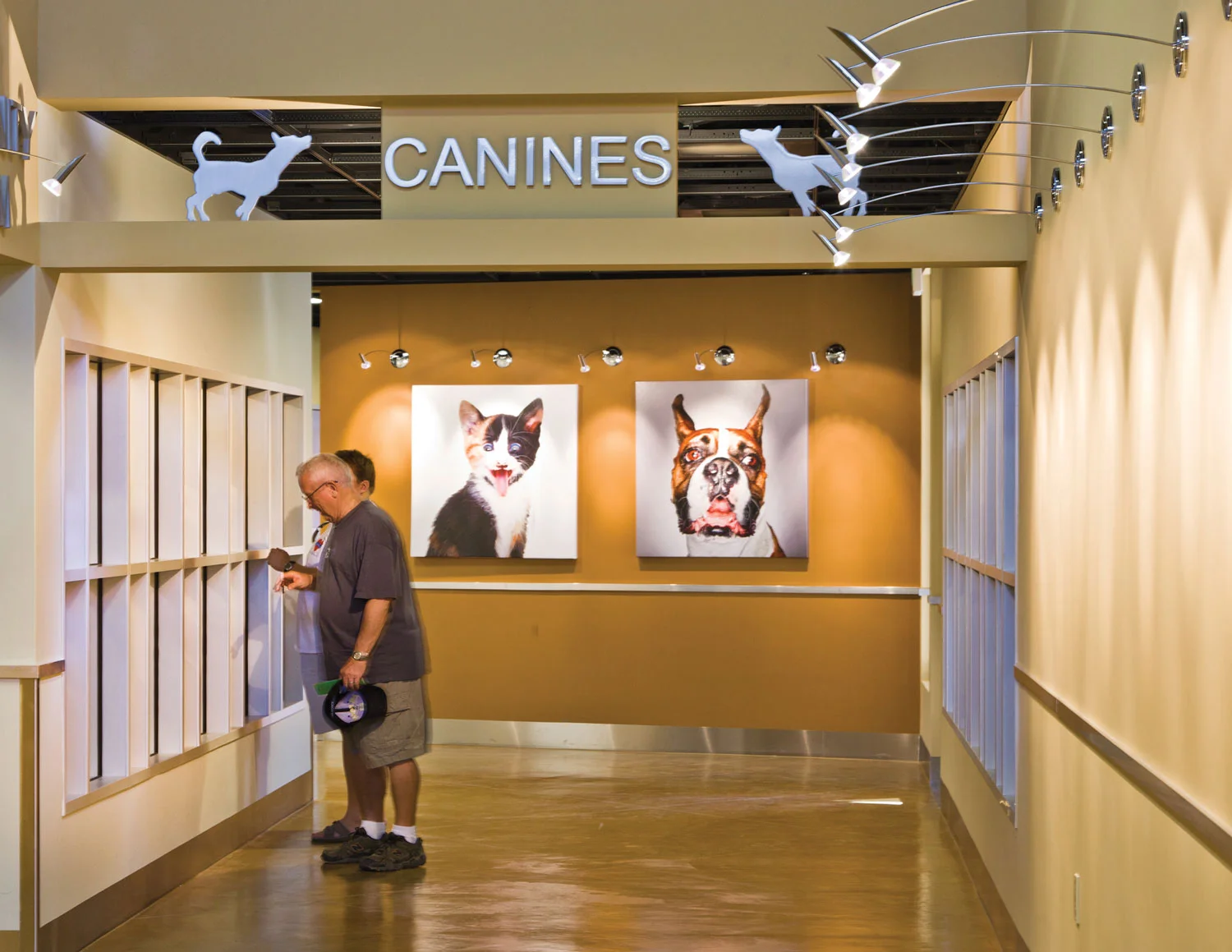 Miers_Animal_Shelter-1010-crop.jpg