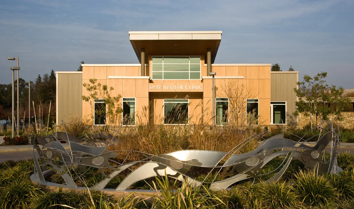 Swatt-sacto-spca-05_crop.jpg