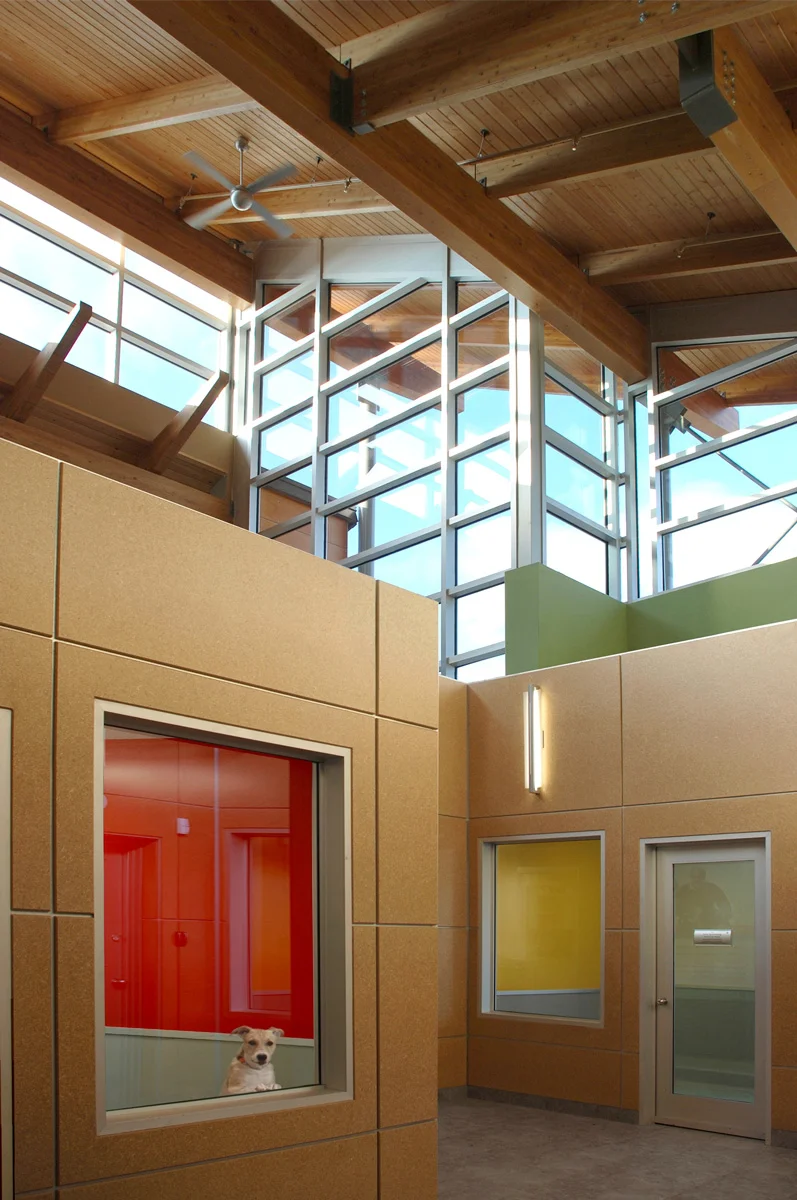 Dog-Rooms-with-Straw-Board.jpg