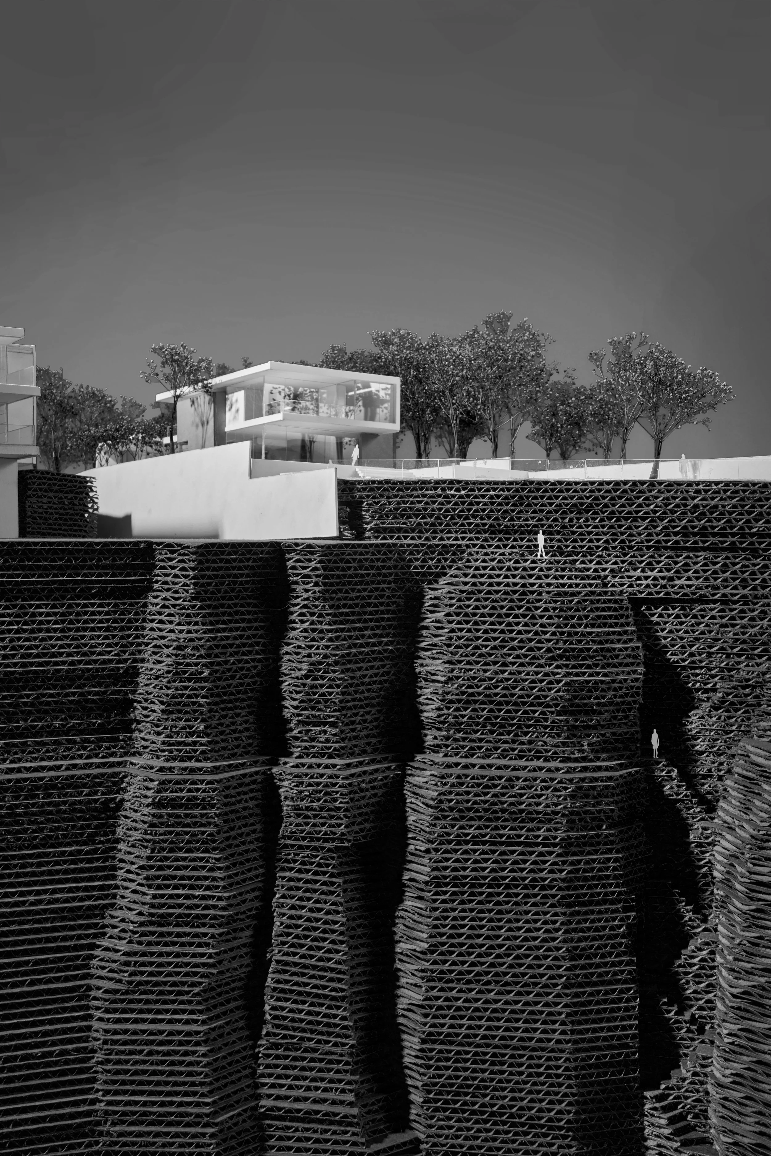 Swatt_Miers_Irie_Hse-01_bw.jpg