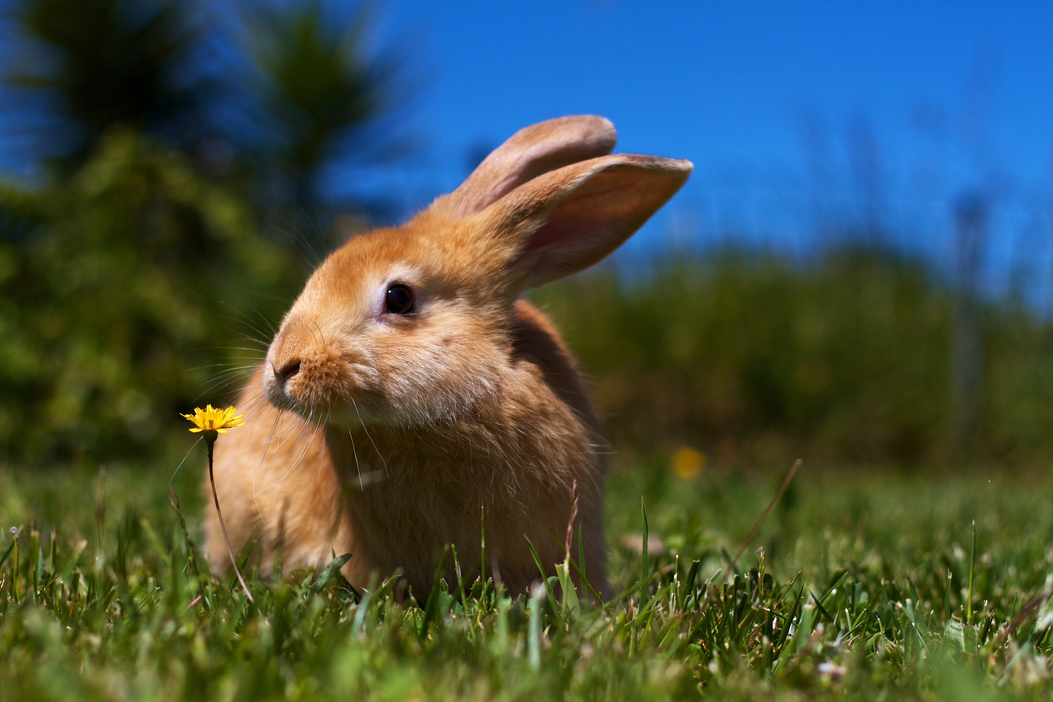 Photo by Luis-m-Leonardo/iStock / Getty Images