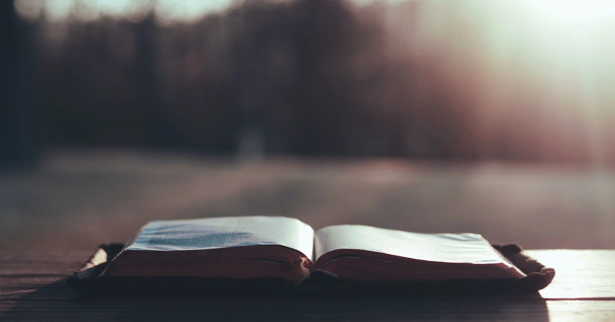 ten-reasons-to-read-the-bible-every-day-j9lltgkn-577f2673927b6616f19c67c75e7ad09f.jpeg