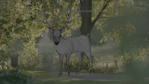 Hannibal Makingof Lighting