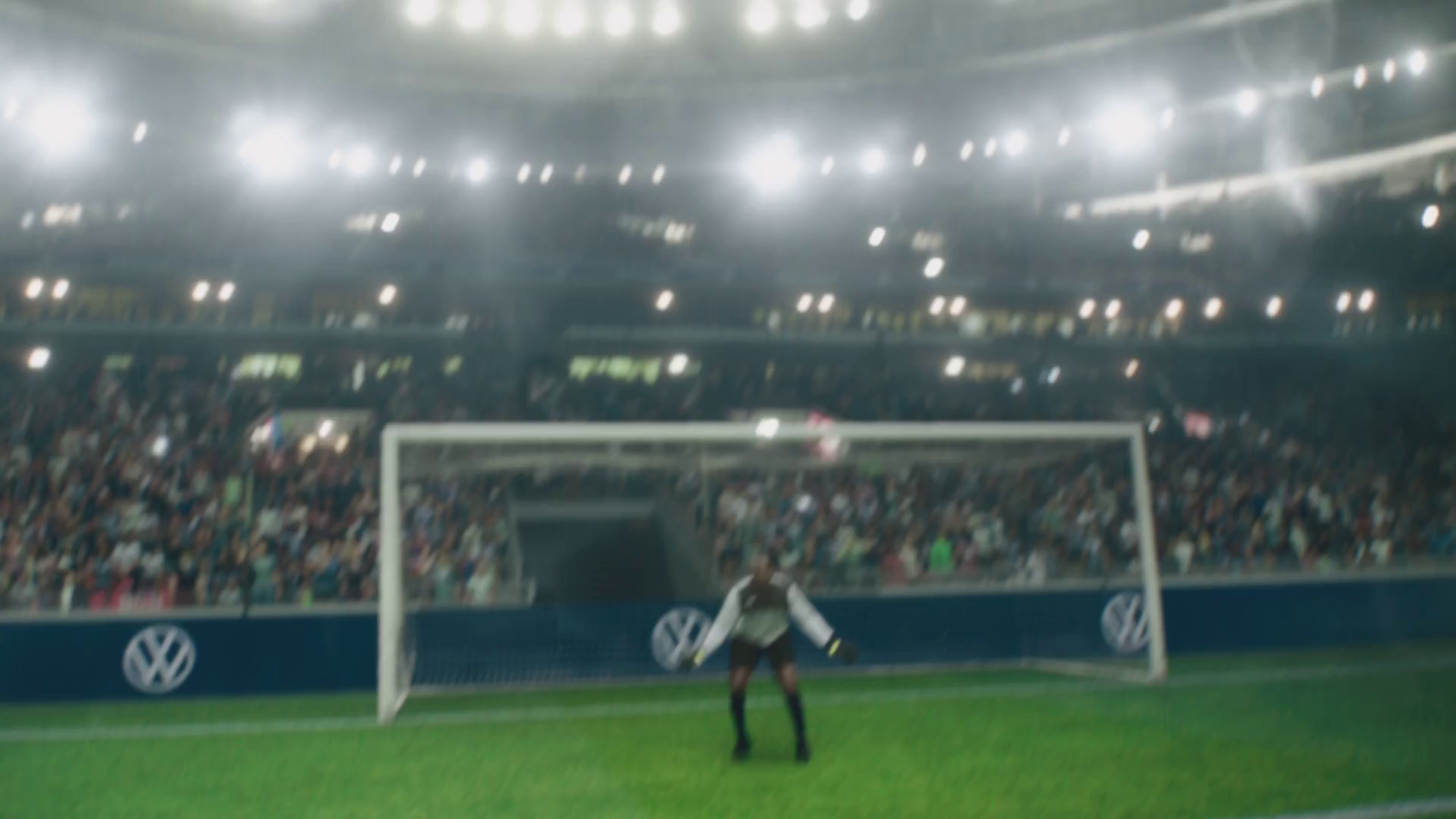 stadium and crowds lighting