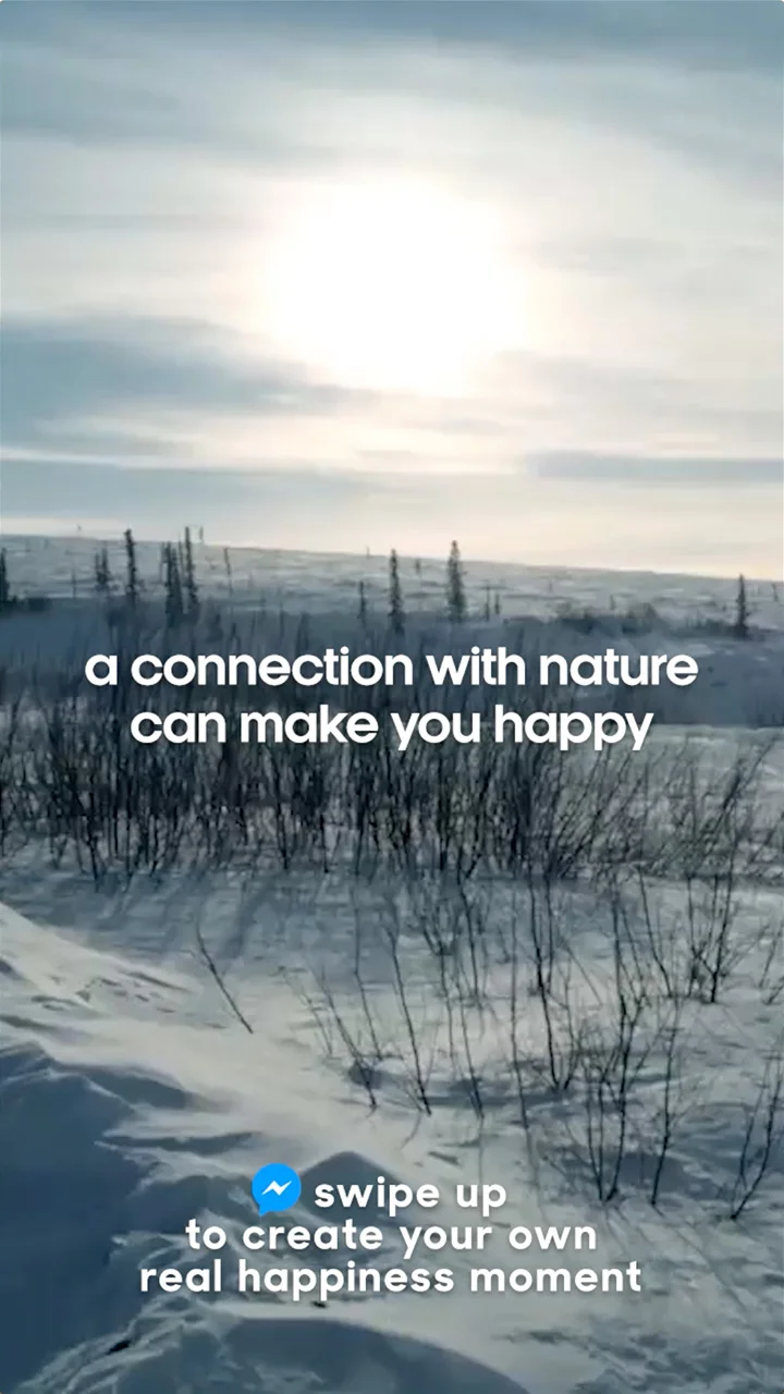 BBC Earth Instagram Stories