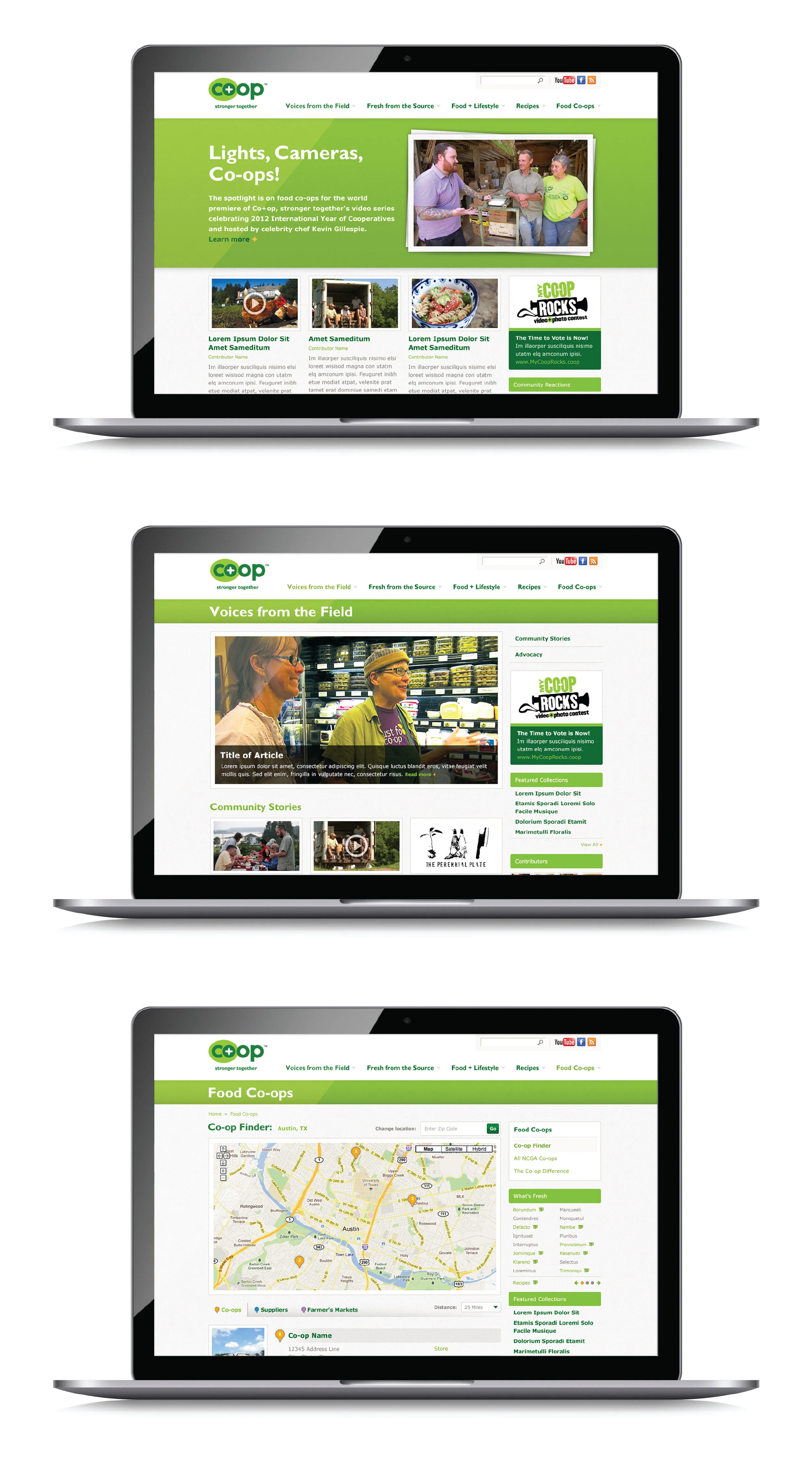 WordPress Website