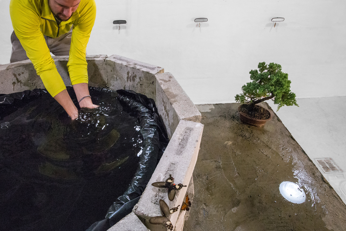 Andy Kincaid & Thomas Macker (the community well) (sipping from the darkness) (detail) Cinderblock, mortar, cuttlefish ink, vodka, lemon juice, water, butterflies, french drain and plumbing
