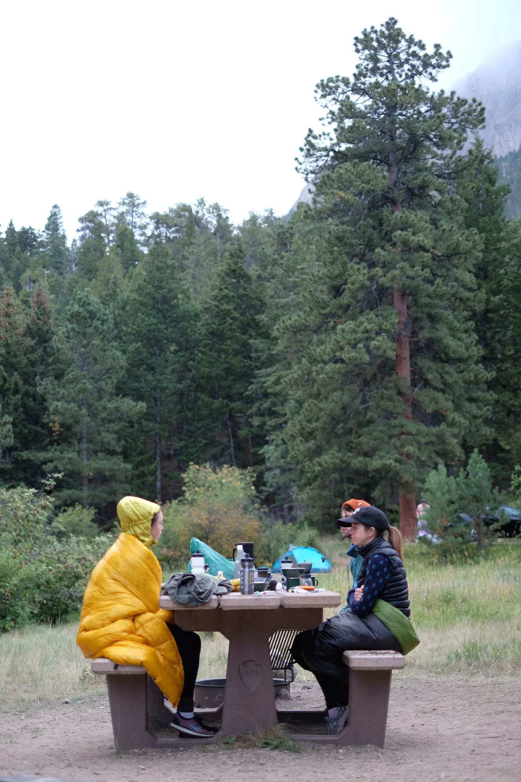 DSCF7729.jpg