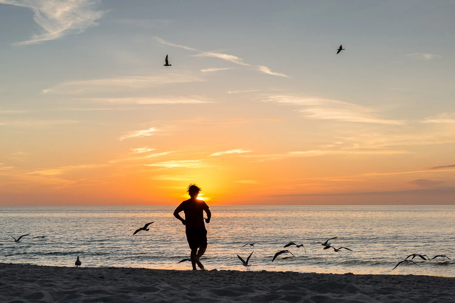 family photo of man running along beach sunset sunset with birds