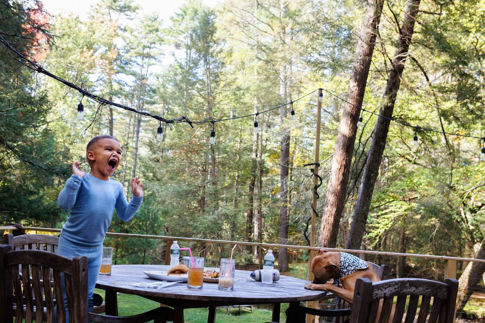 Cabins, the Poconos, and Family Vacations. FIR real.