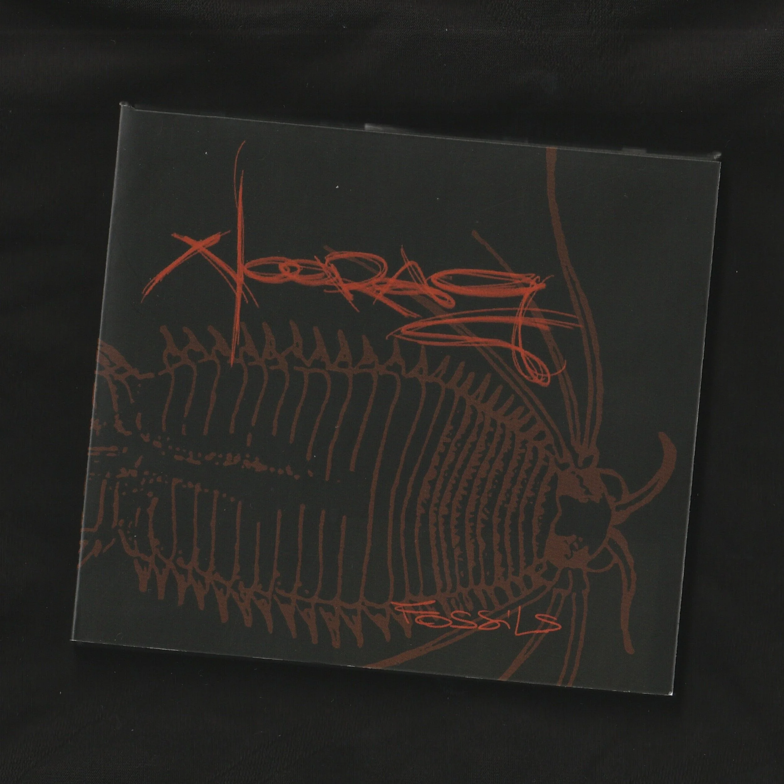 The Ferocity of Noorag’s “Fossils”: A Music Review