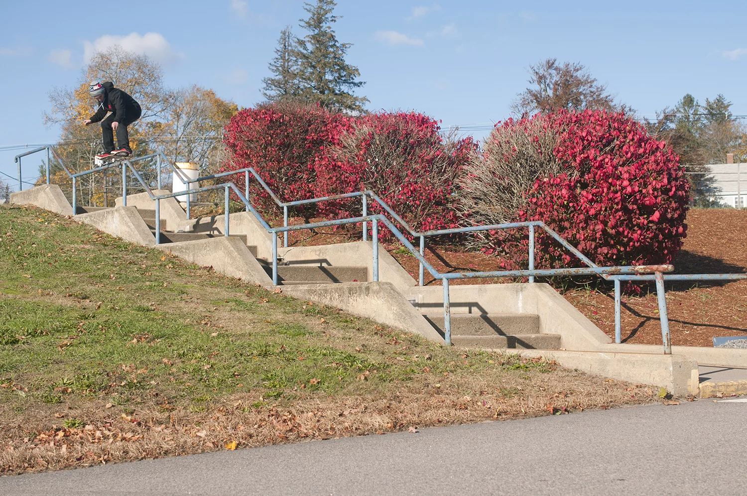 WillMazzari_fs5050.jpg