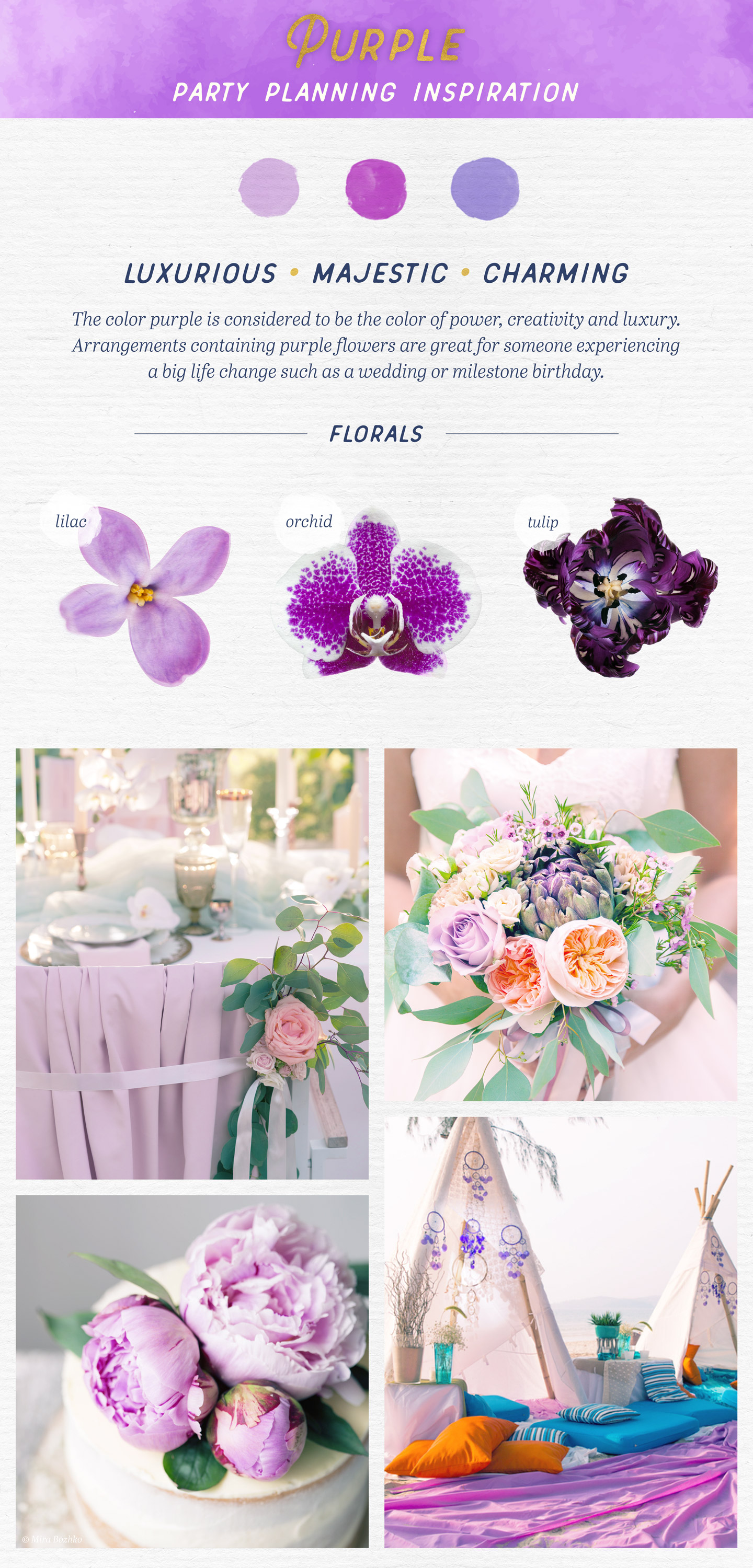 color-psychology-purple.jpg