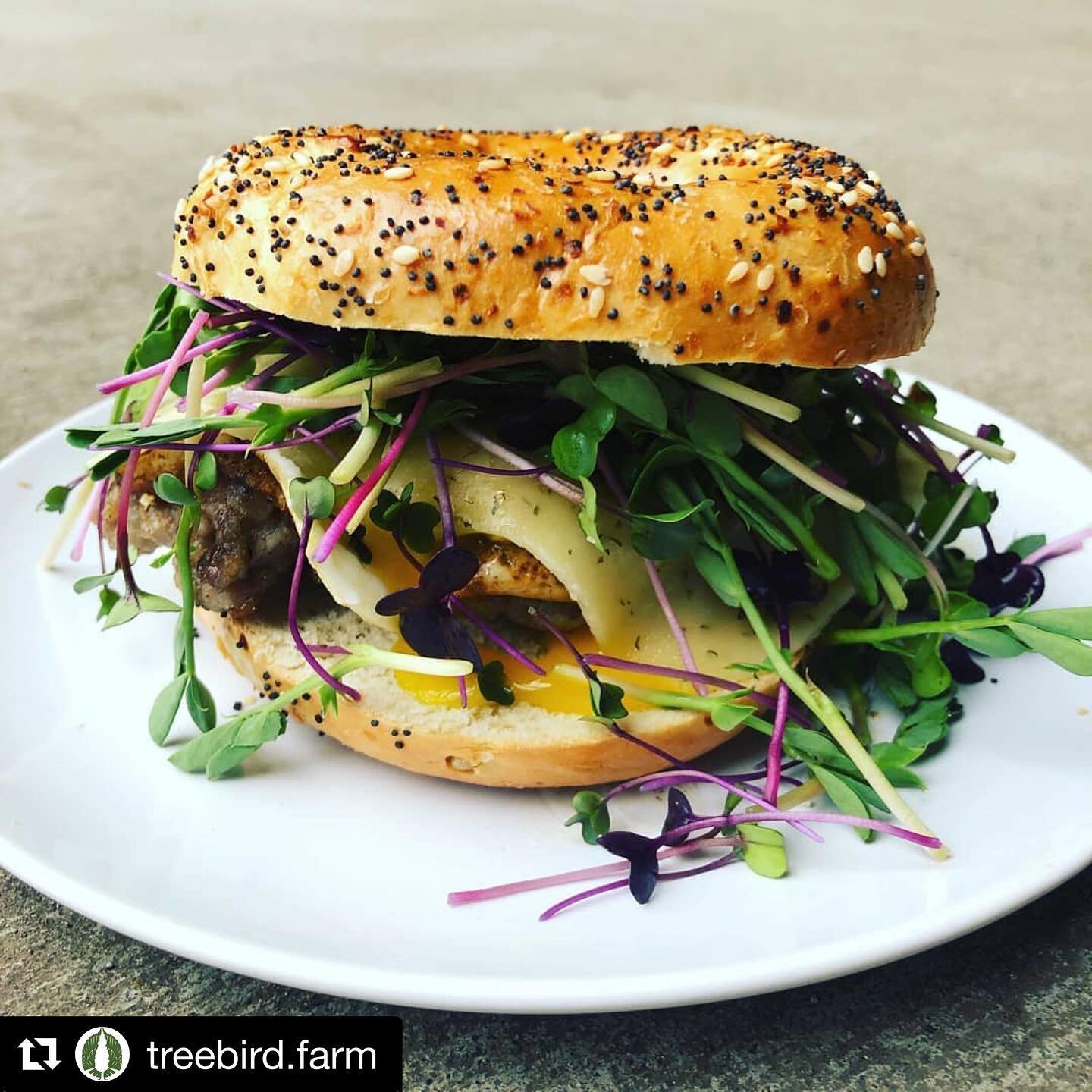 Reposted from @treebird.farm 
In an effort to better serve our community during these times, we are partnering with @columbiamushroom  and @windriverorganics  @mlj_dairy  @dairy.charisway  to provide a wider selection of products for home delivery st