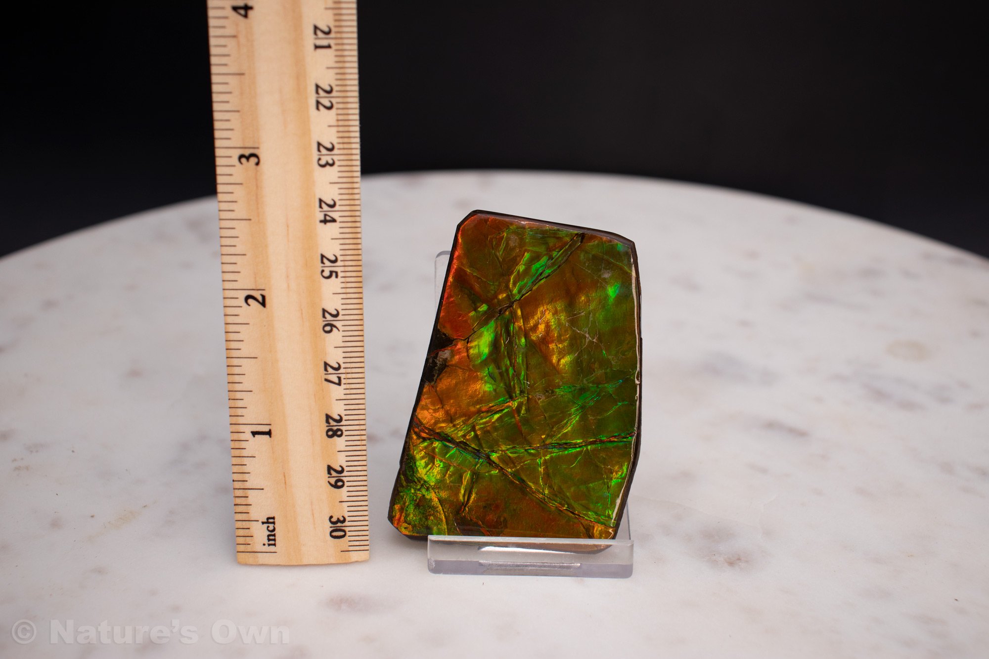 Ammolite-Shard-1-detail.jpg