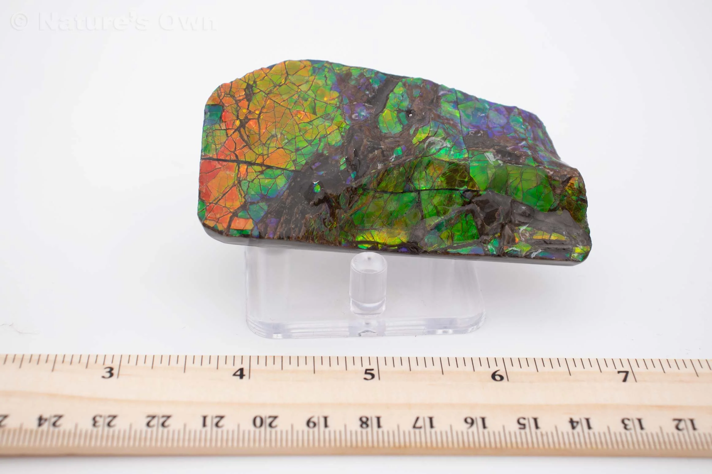 Shop — Nature's Own Breckenridge Rock & Fossil Shop