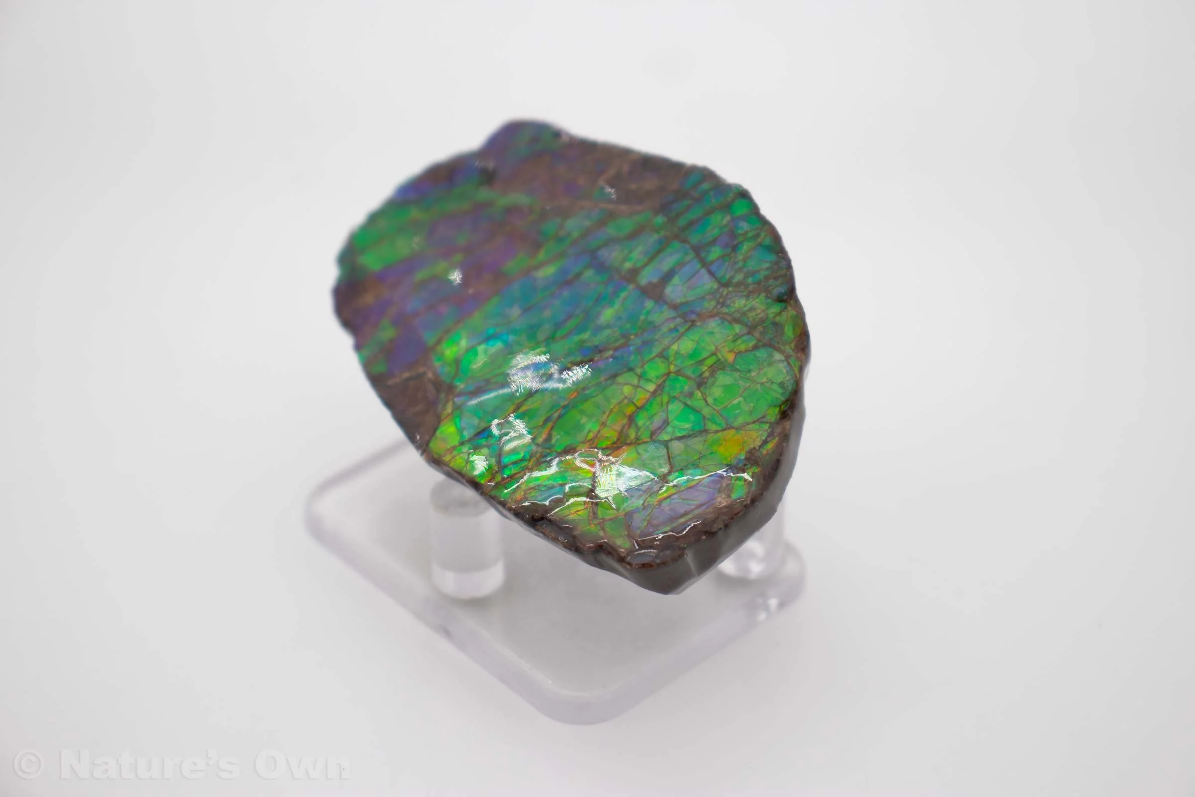 Shop — Nature's Own Breckenridge Rock & Fossil Shop