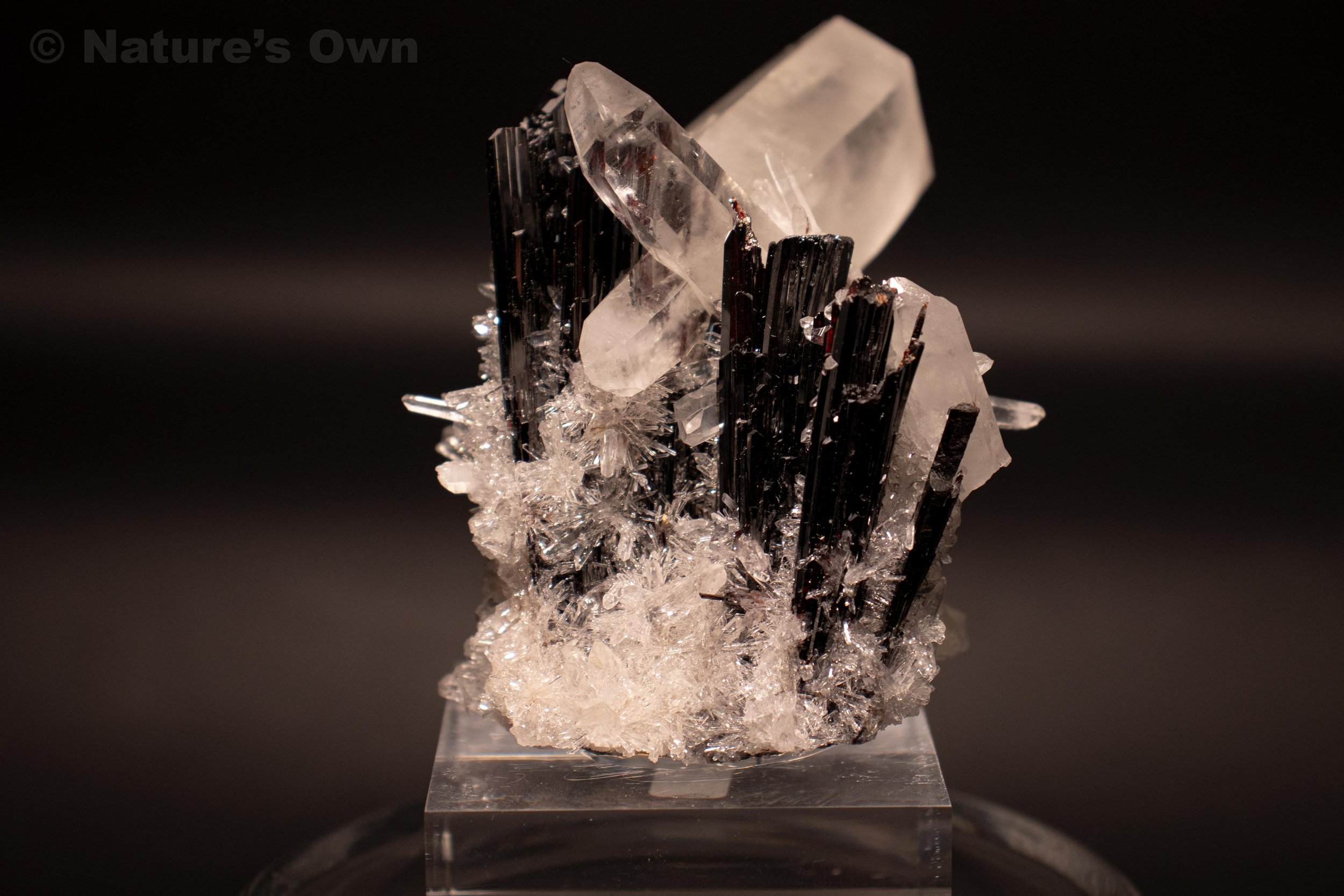 Exquisite Hübernite Quartz Cluster Mineral Specimen for sale. Found in Peru. Nature's Own, Breckenridge, Colorado