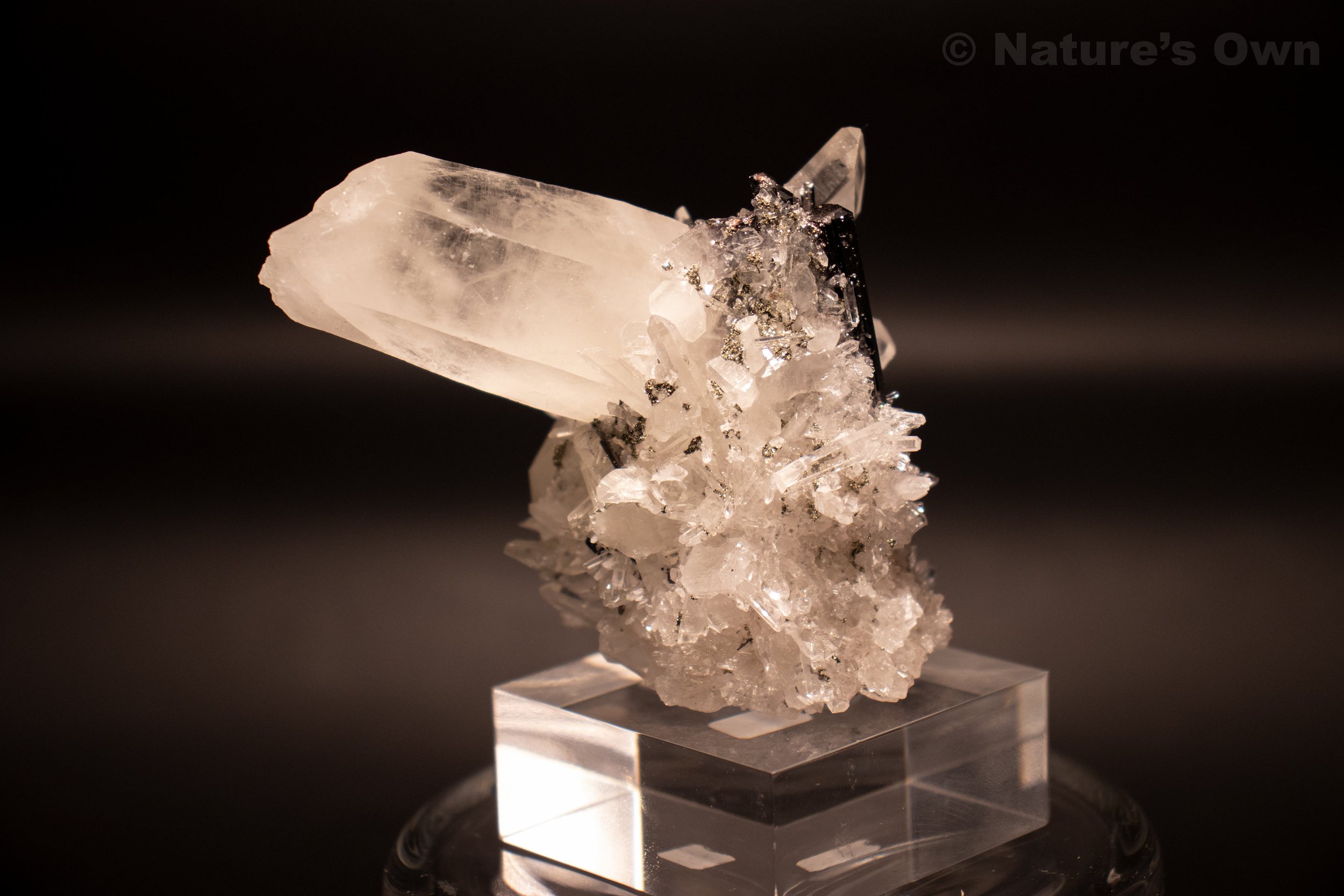 Exquisite Hübernite Quartz Cluster Mineral Specimen for sale. Found in Peru. Nature's Own, Breckenridge, Colorado