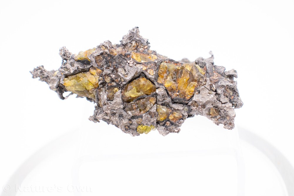 Admire Pallasite Meteorite Mineral Specimen for sale online. Admire, Lyon County, Kansas, USA. Gems, Minerals, Fossils, Jewelry. Nature's Own Breckenridge, Colorado