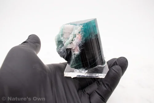 Tourmaline Indicolite 4 Tranches 4,03ct Naturelle - Bleu Transparent, Façon Pastèque