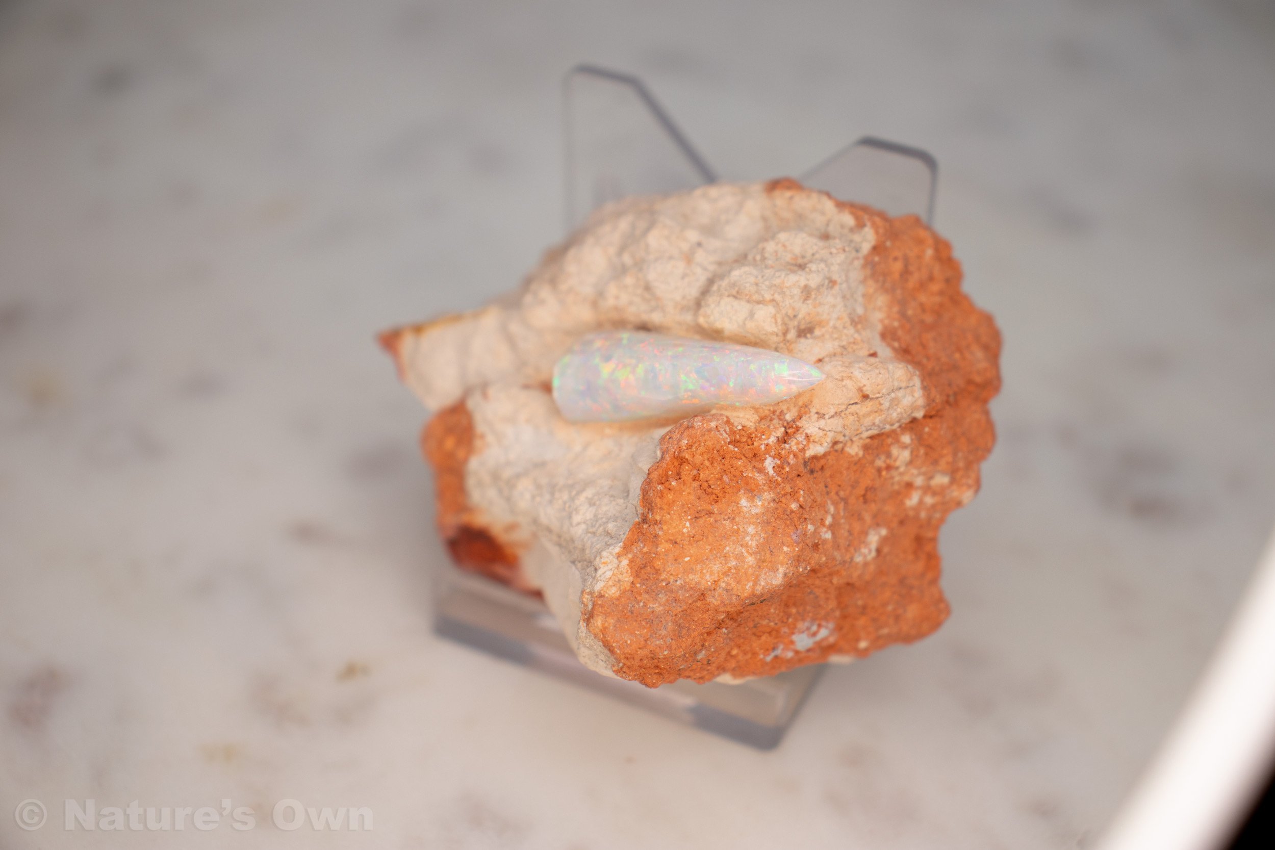 Opalized-Belemnite-detail.jpg