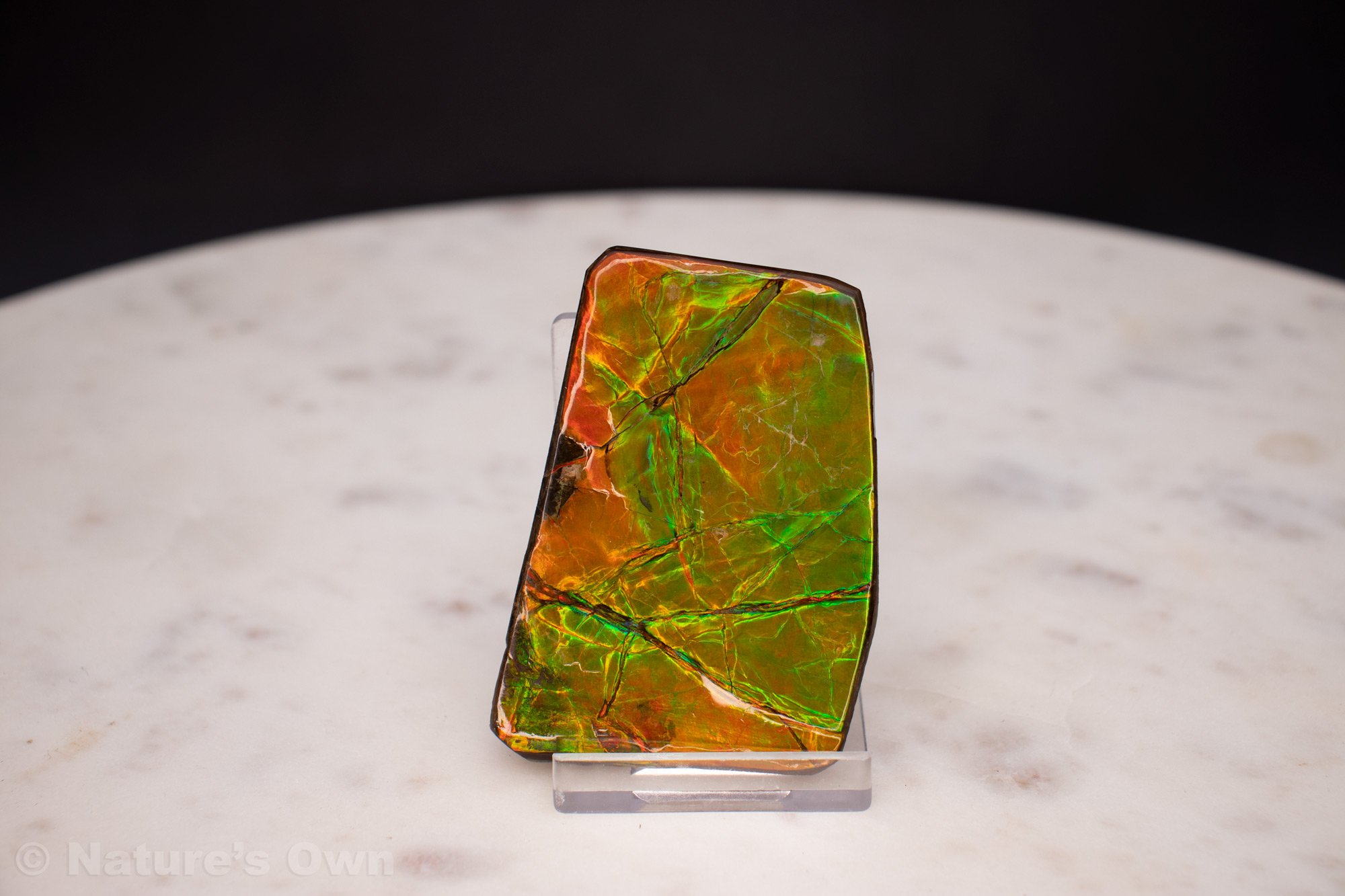 Ammolite-Shard-1.jpg