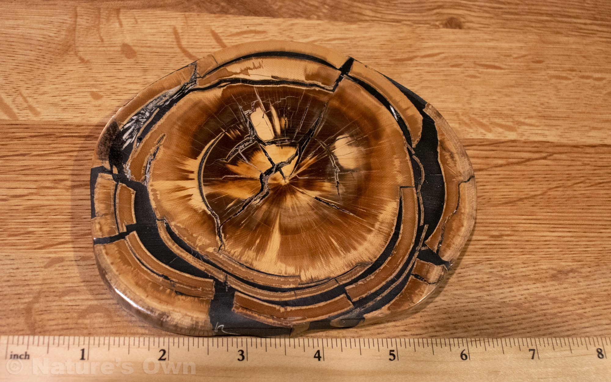 Mammoth-Slice-#3.jpg