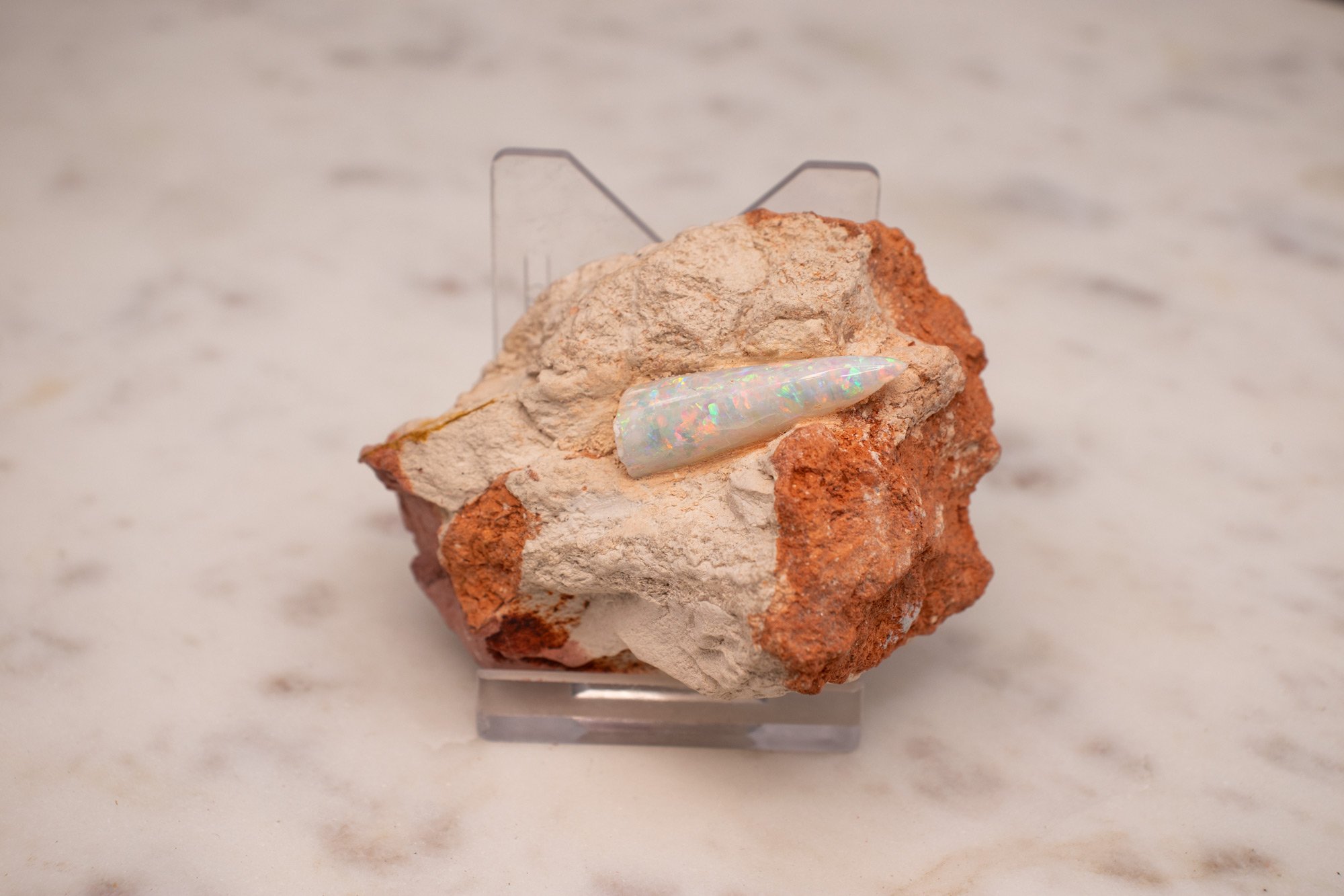 Opalized-Belemnite-1.jpg