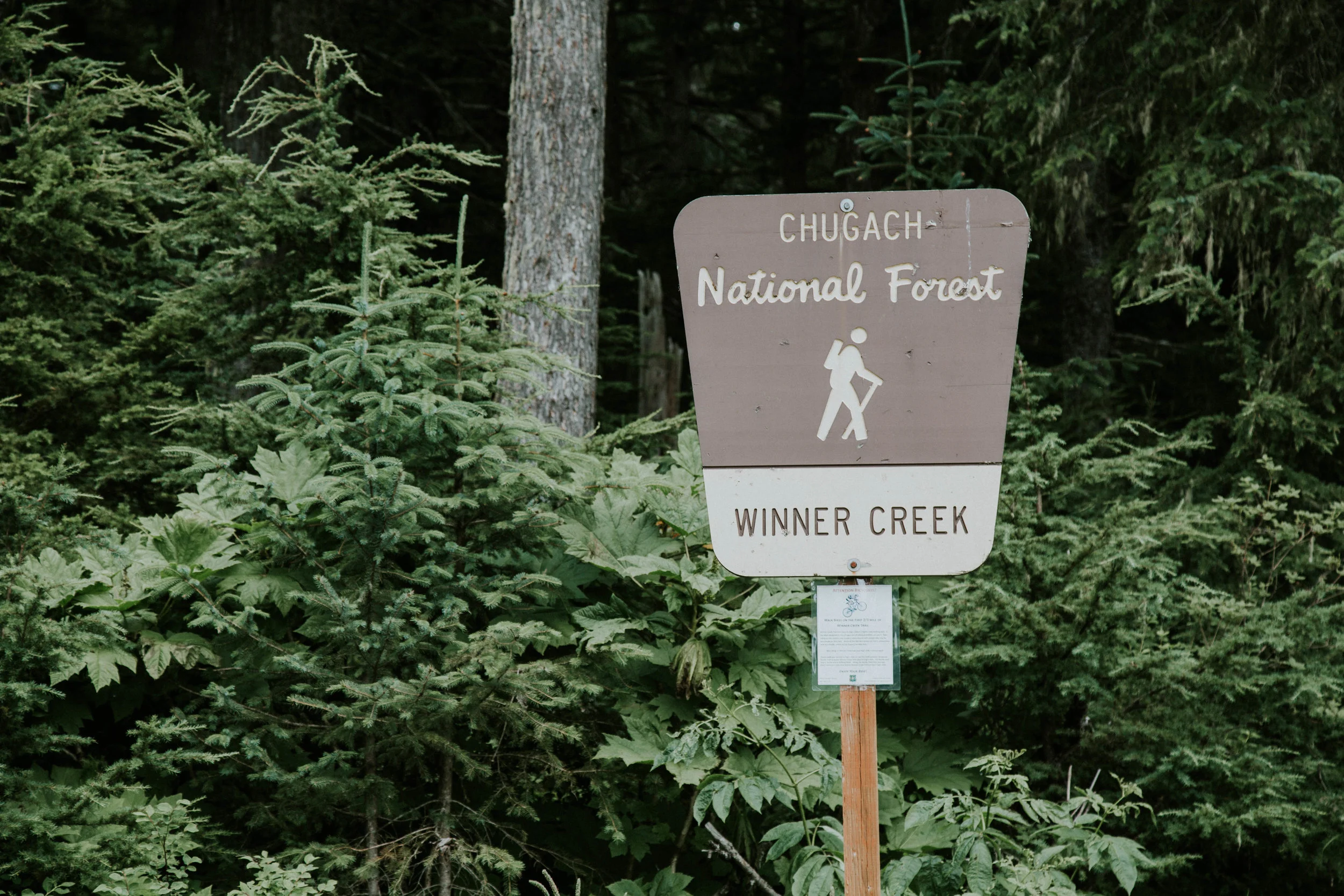 AlaskaGirwoodHike.jpg