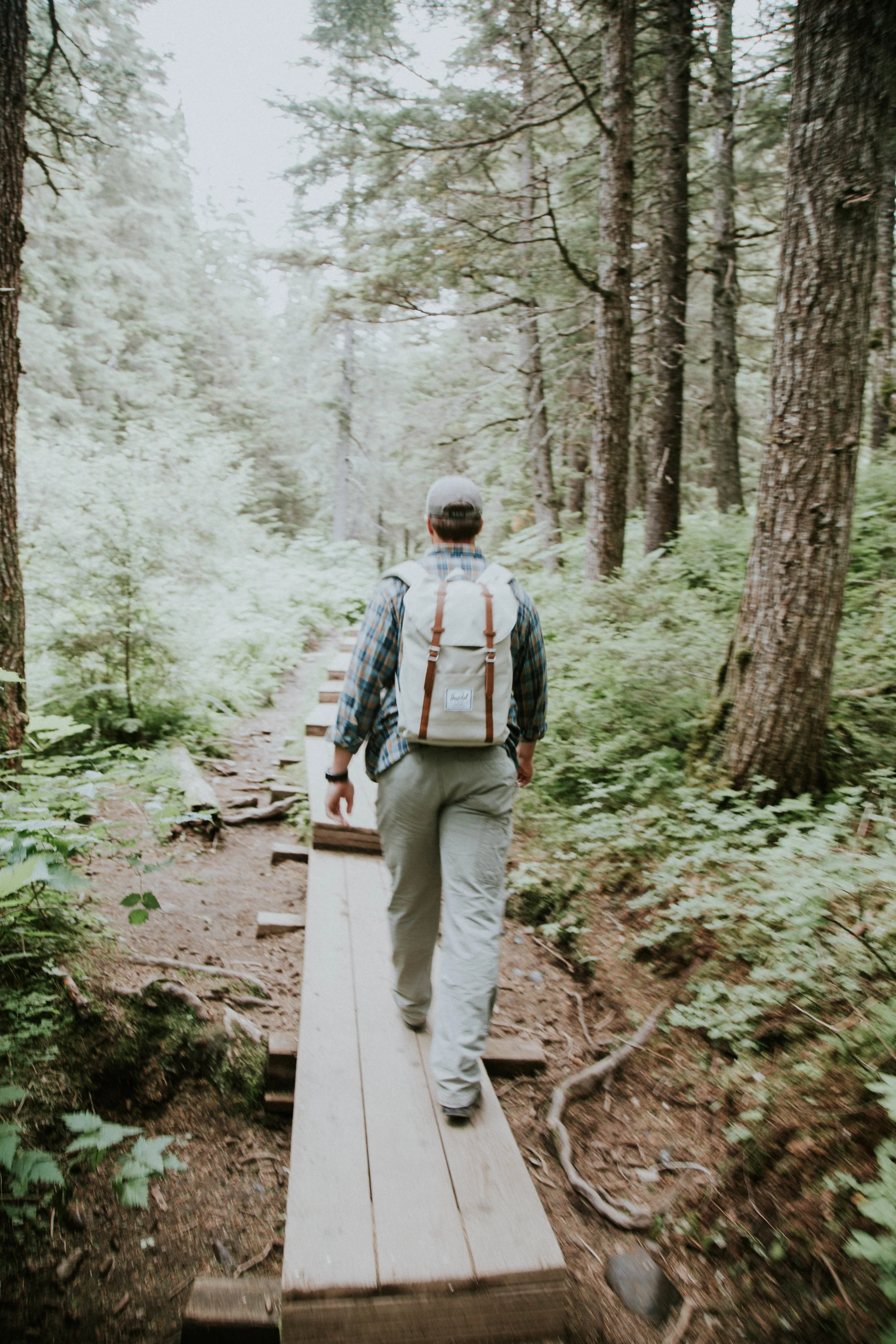 AlaskaGirwoodHike8.jpg