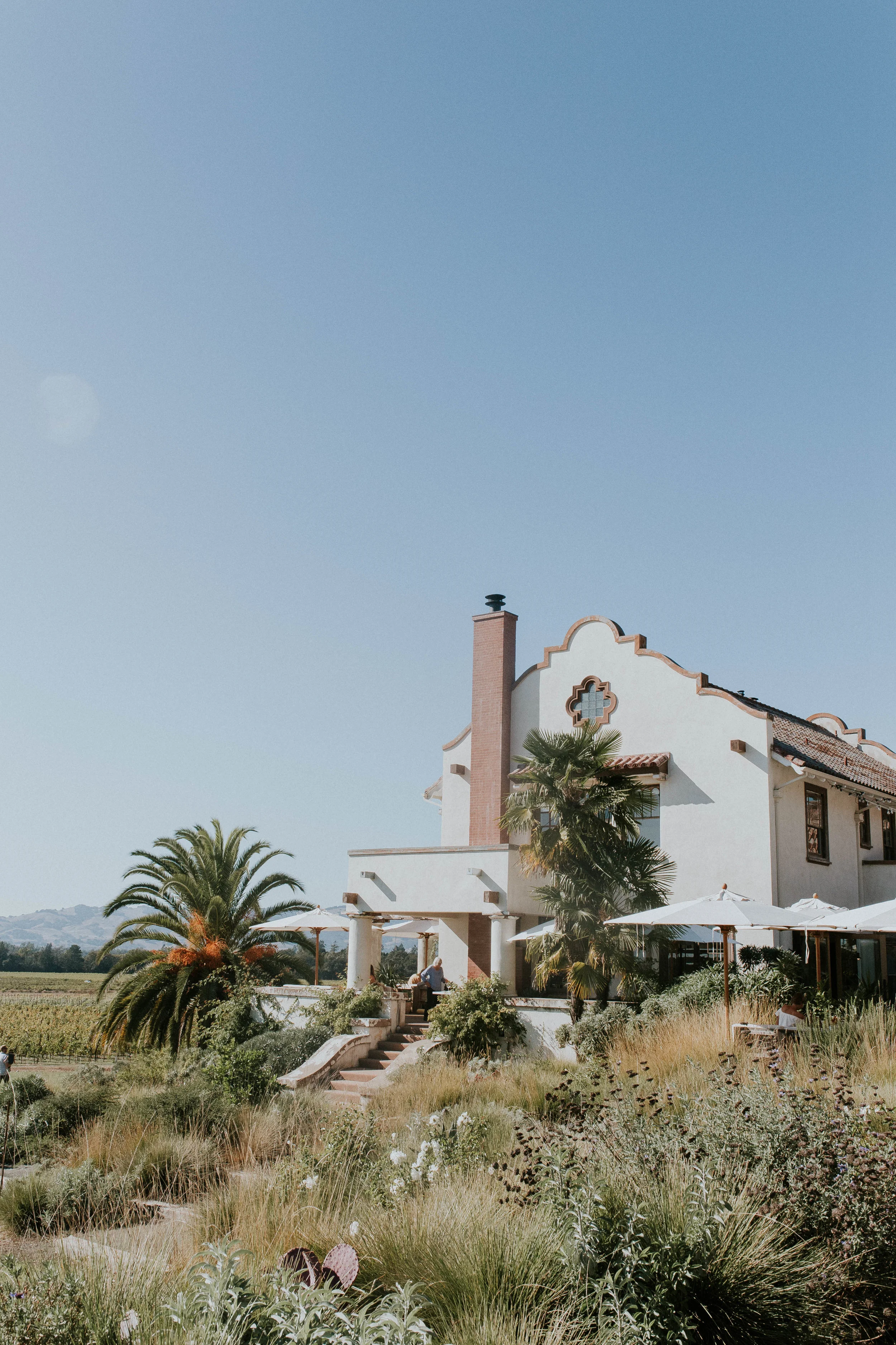 napa14.jpg