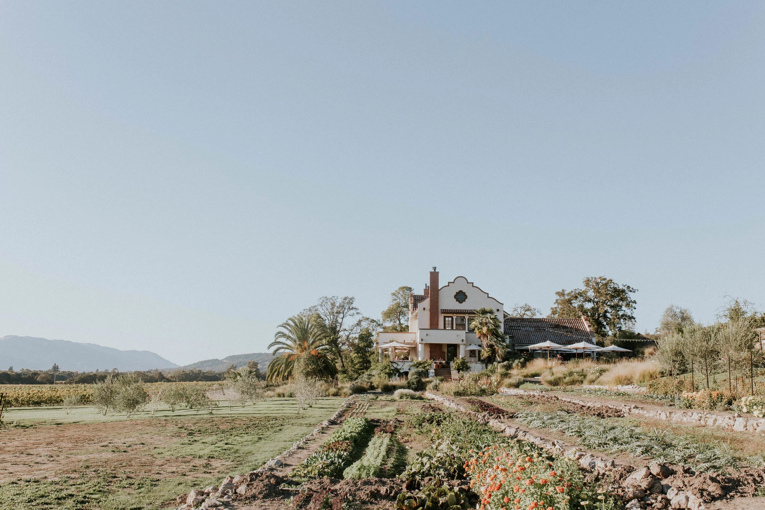 napa57.jpg