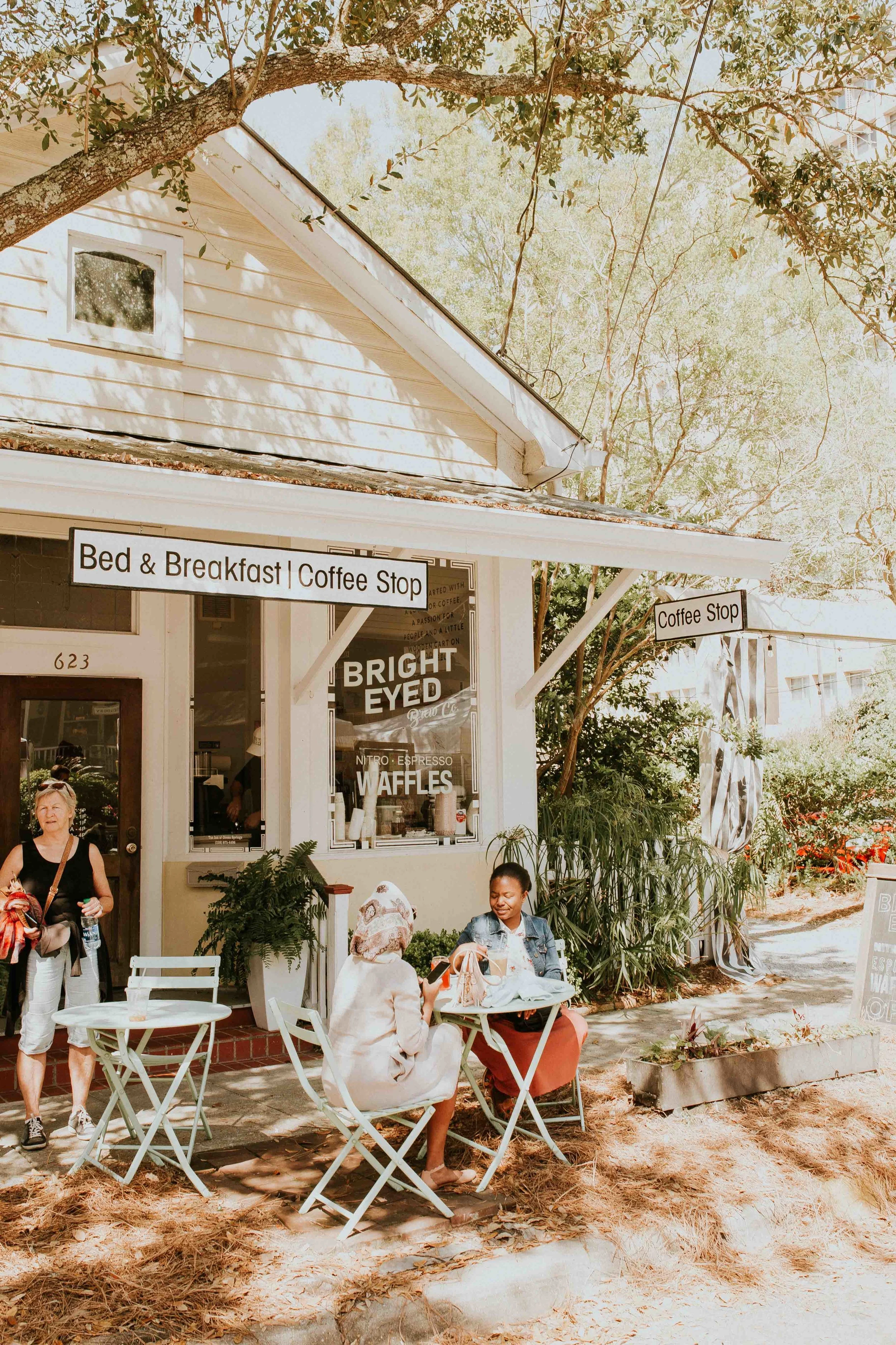 oceansprings1.jpg