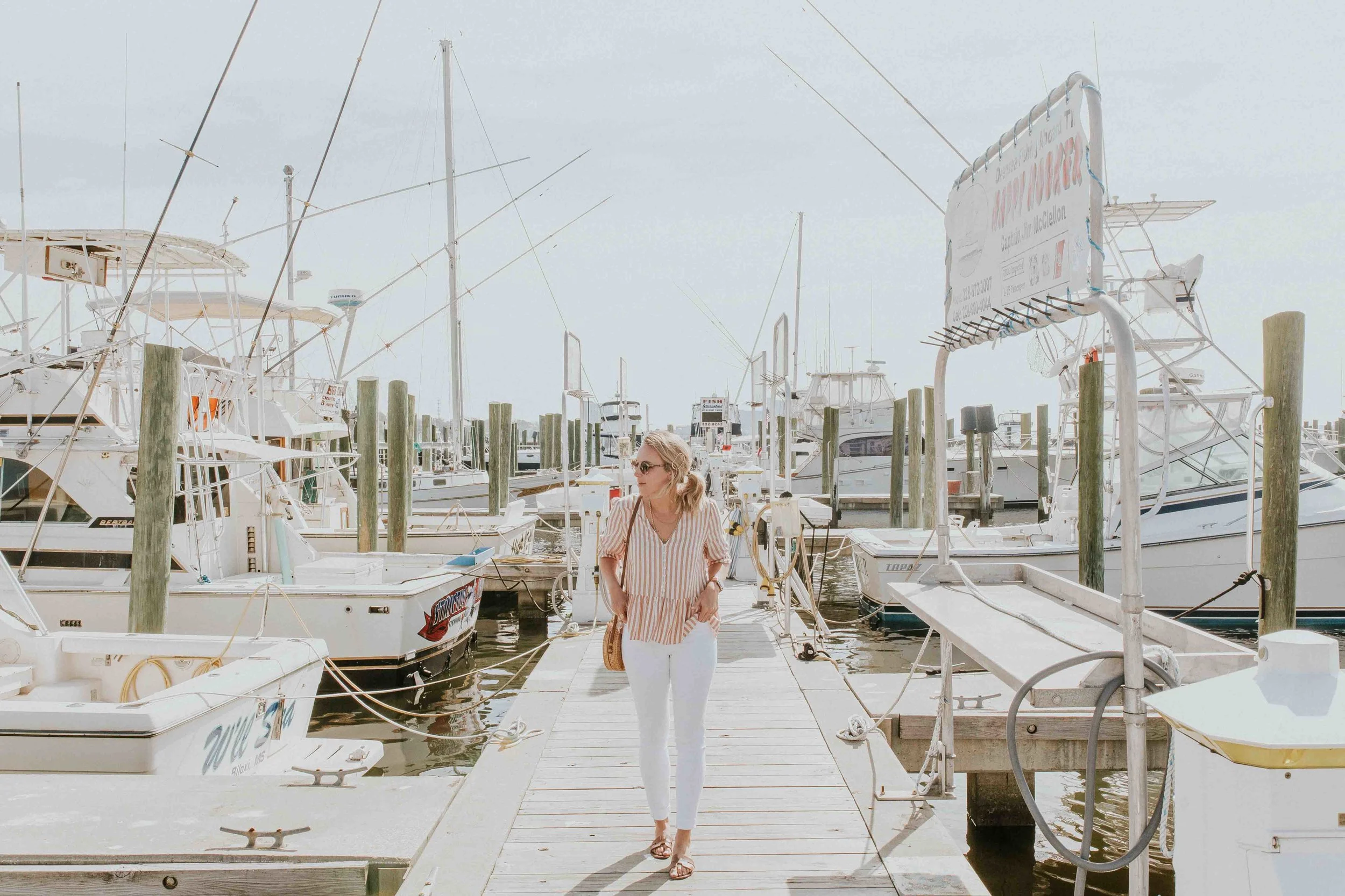 oceansprings6.jpg