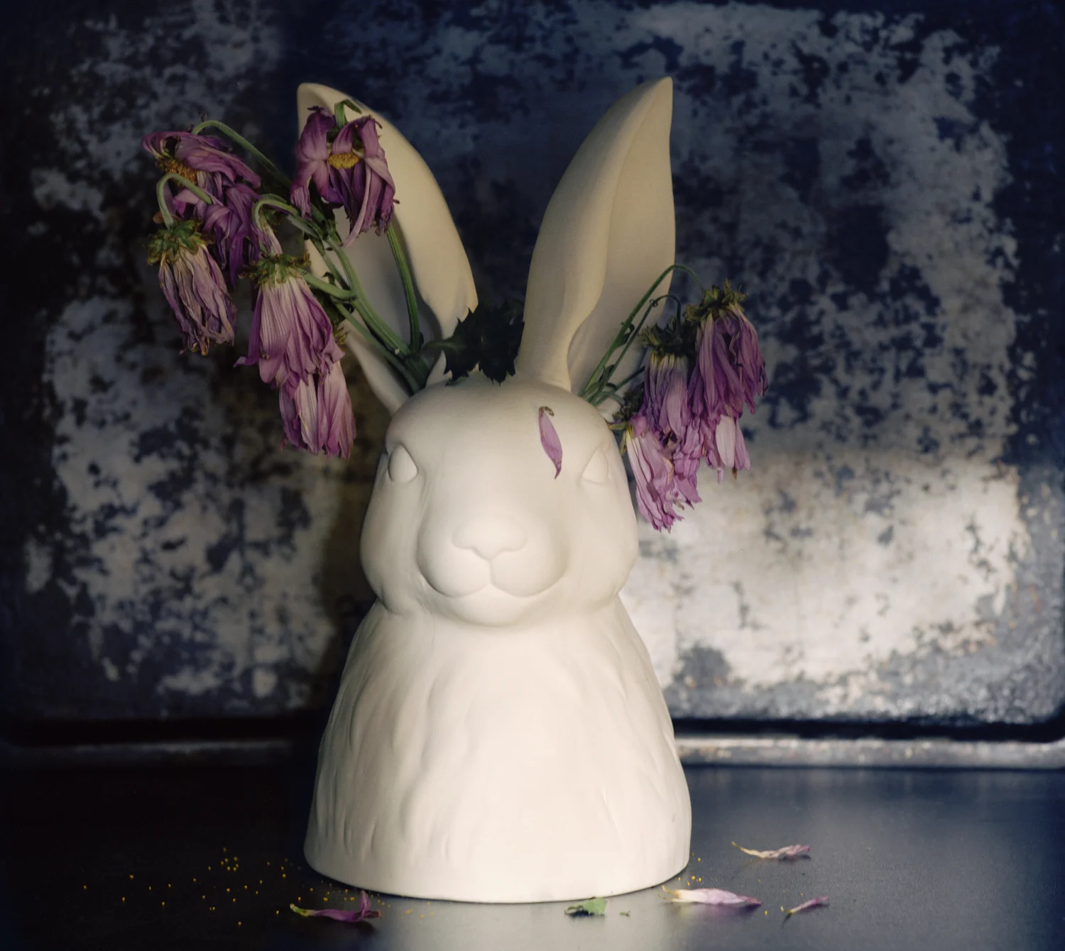 whiterabbit-webresized.jpg