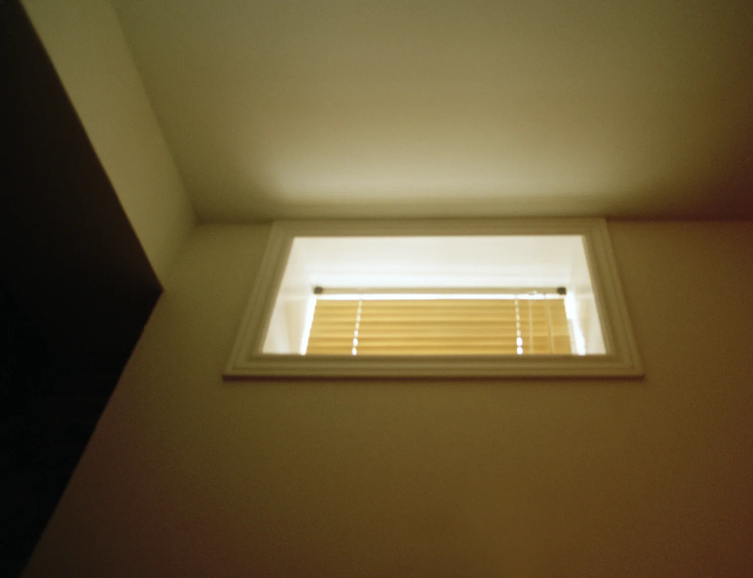 windowlight-webresized-5.jpg