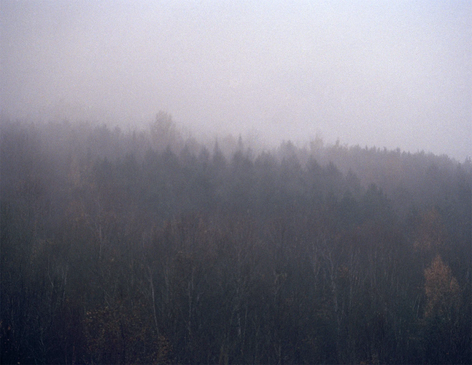 smokey-webresized.jpg