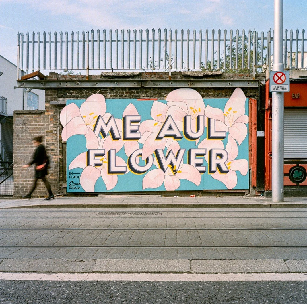Me aul' 🌸
Dublin, 2017 #MeAuldFlower