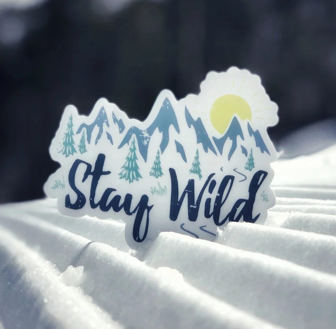 Stay Wild Sticker.jpg