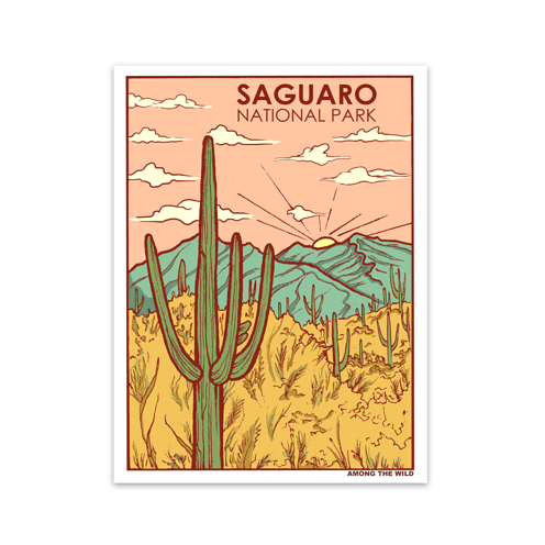 Saguaro NP SS.png
